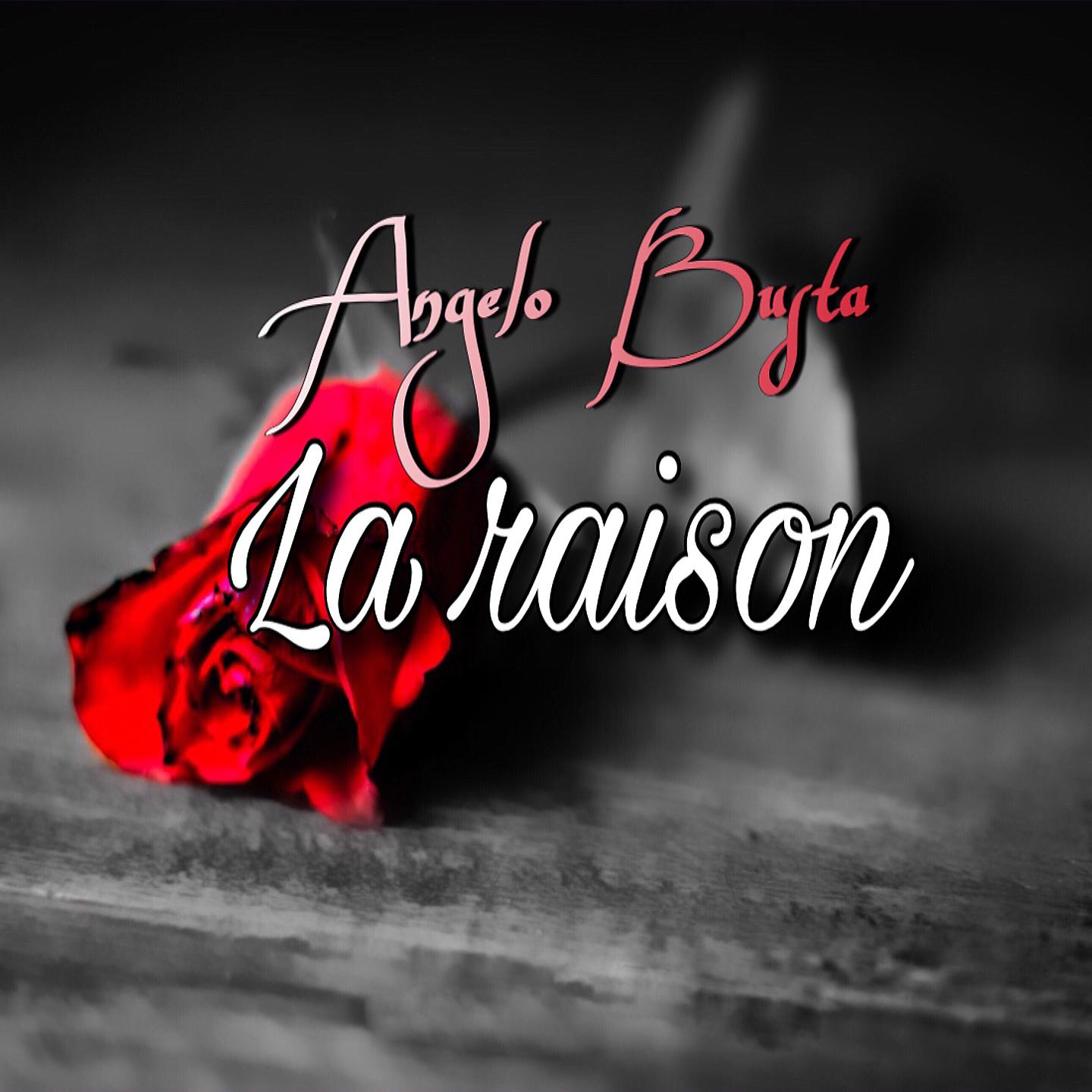 Постер альбома La raison