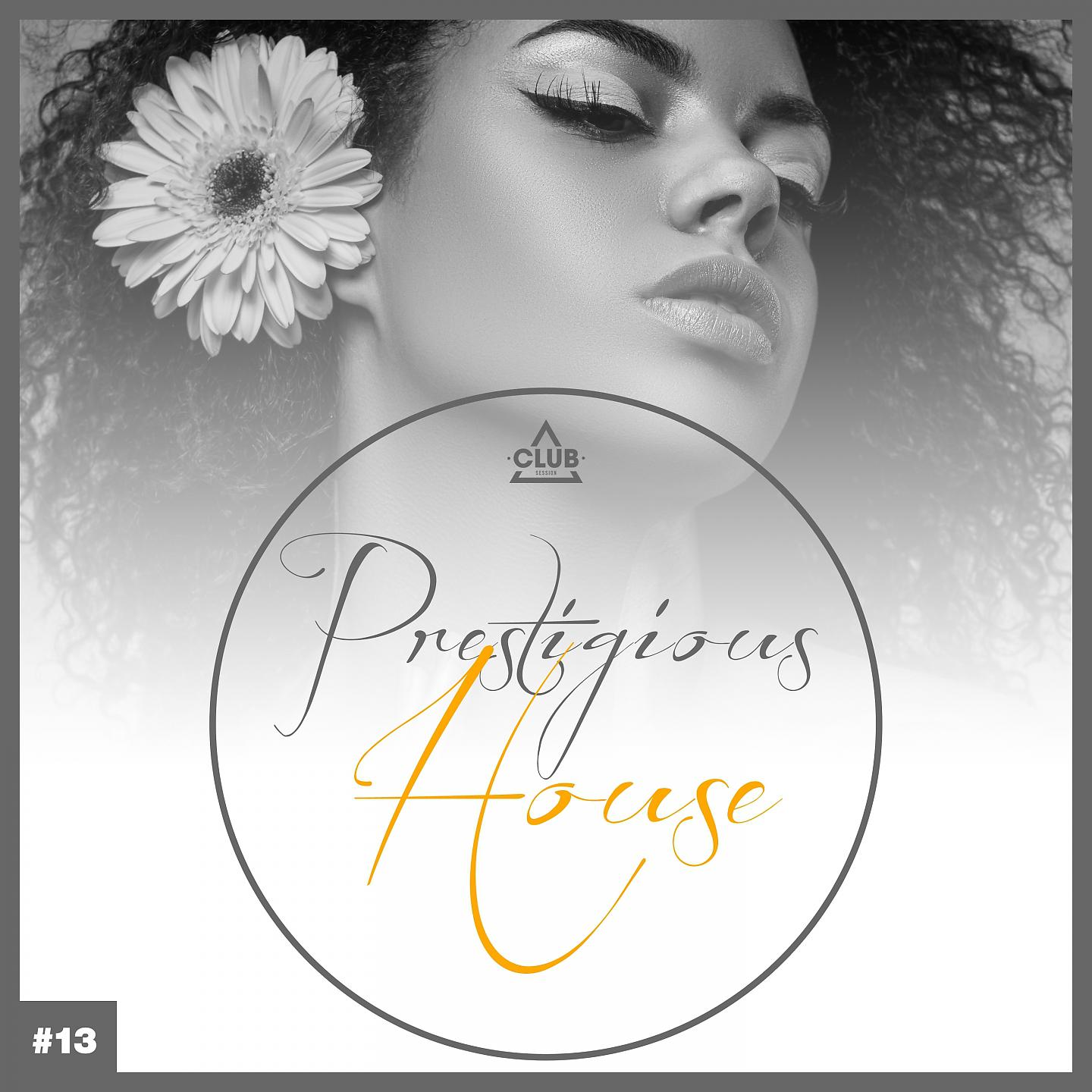 Постер альбома Prestigious House, Vol. 13