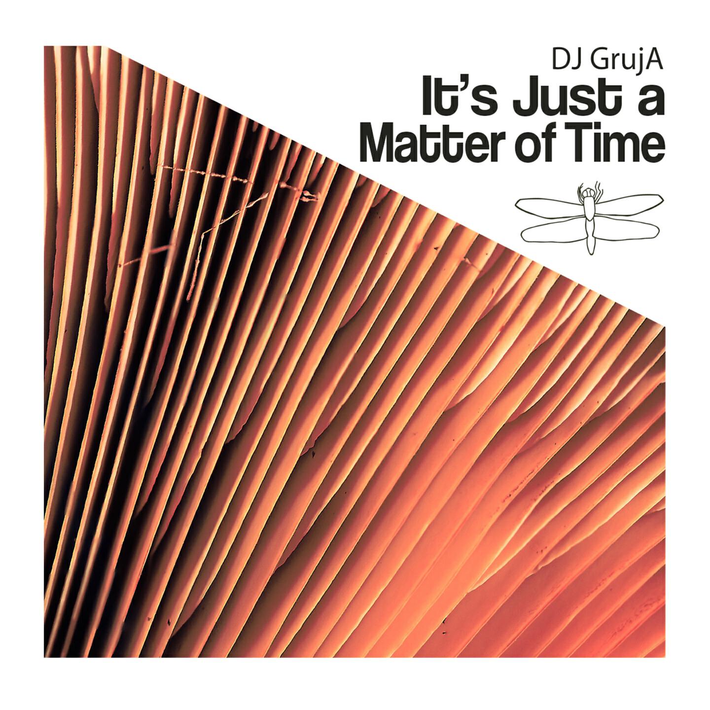 DJ GrujA - It's Just a Matter of Time (Shawn Jackson & Nem Danev & Vaxx Remix)