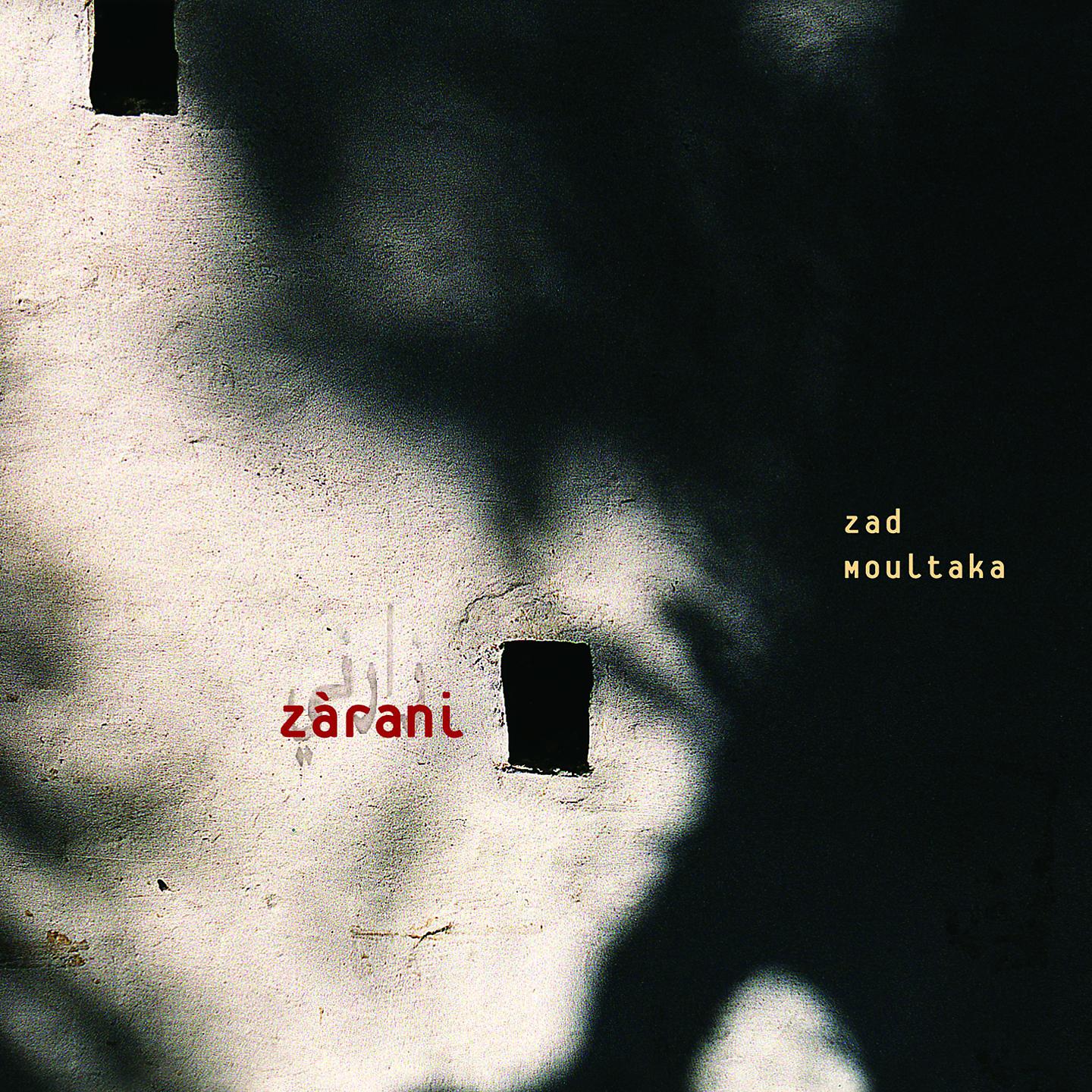 Постер альбома Zarani