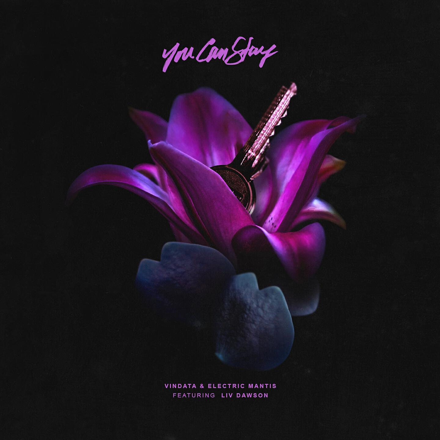 Vindata - You Can Stay