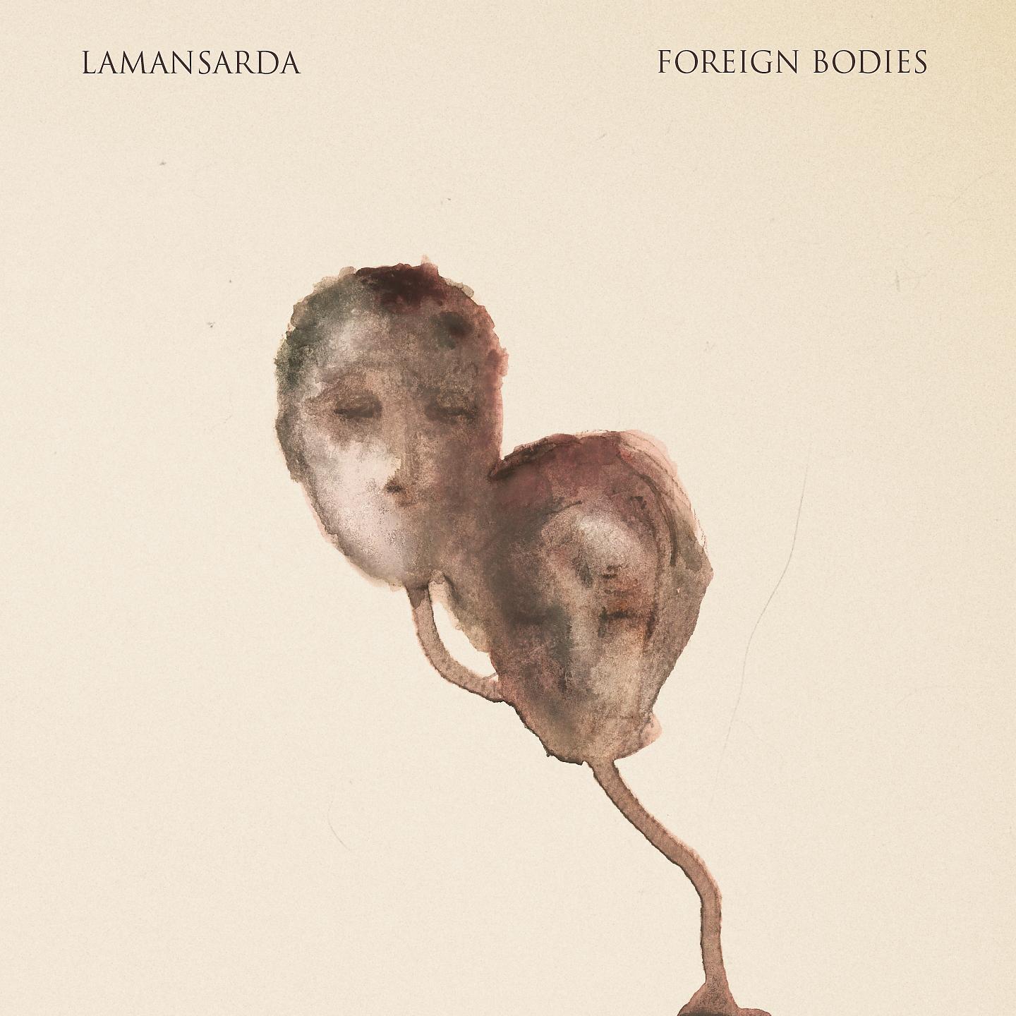 Постер альбома Foreign Bodies