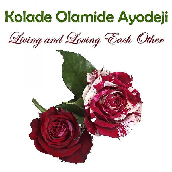 Kolade Olamide Ayodeji - Trap in the Night (Original Mix)