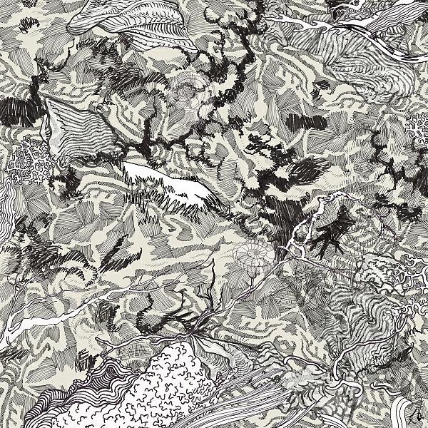 Fortune Finder - Not Once In All My Daze