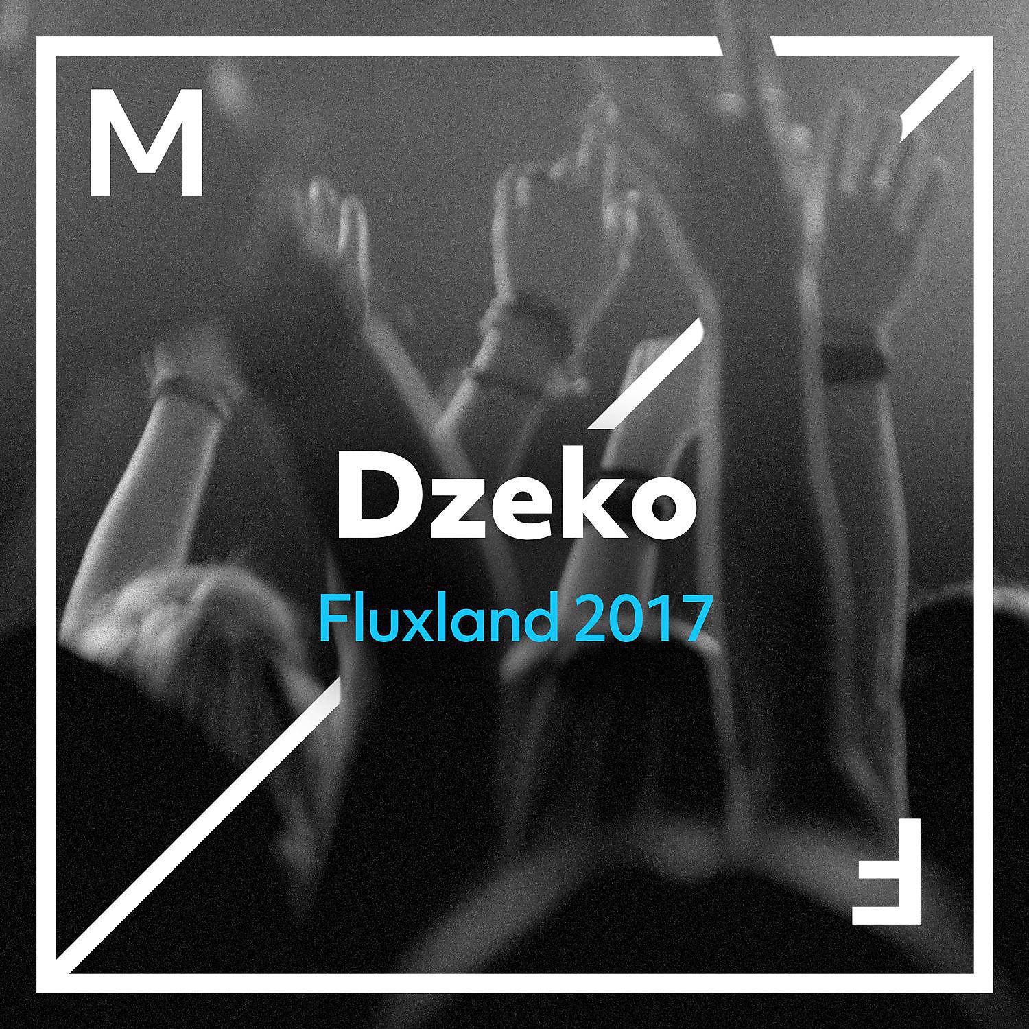Постер альбома Fluxland 2017