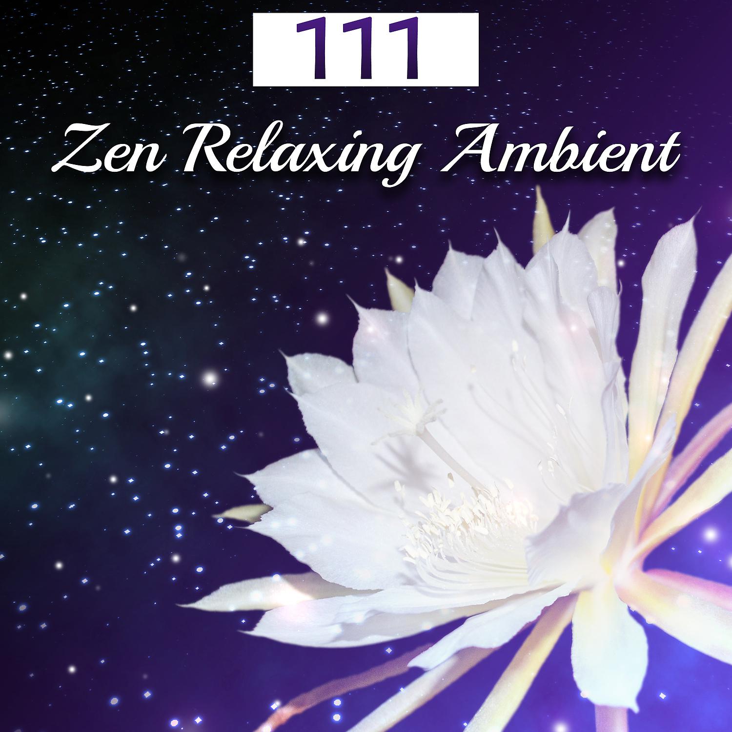 Постер альбома 111 Zen Relaxing Ambient: Amazing New Age Music for Rest & Relax, Deep Sleep, Yoga Meditation, Spa & Welness, Study Focus, Mindfulness Training