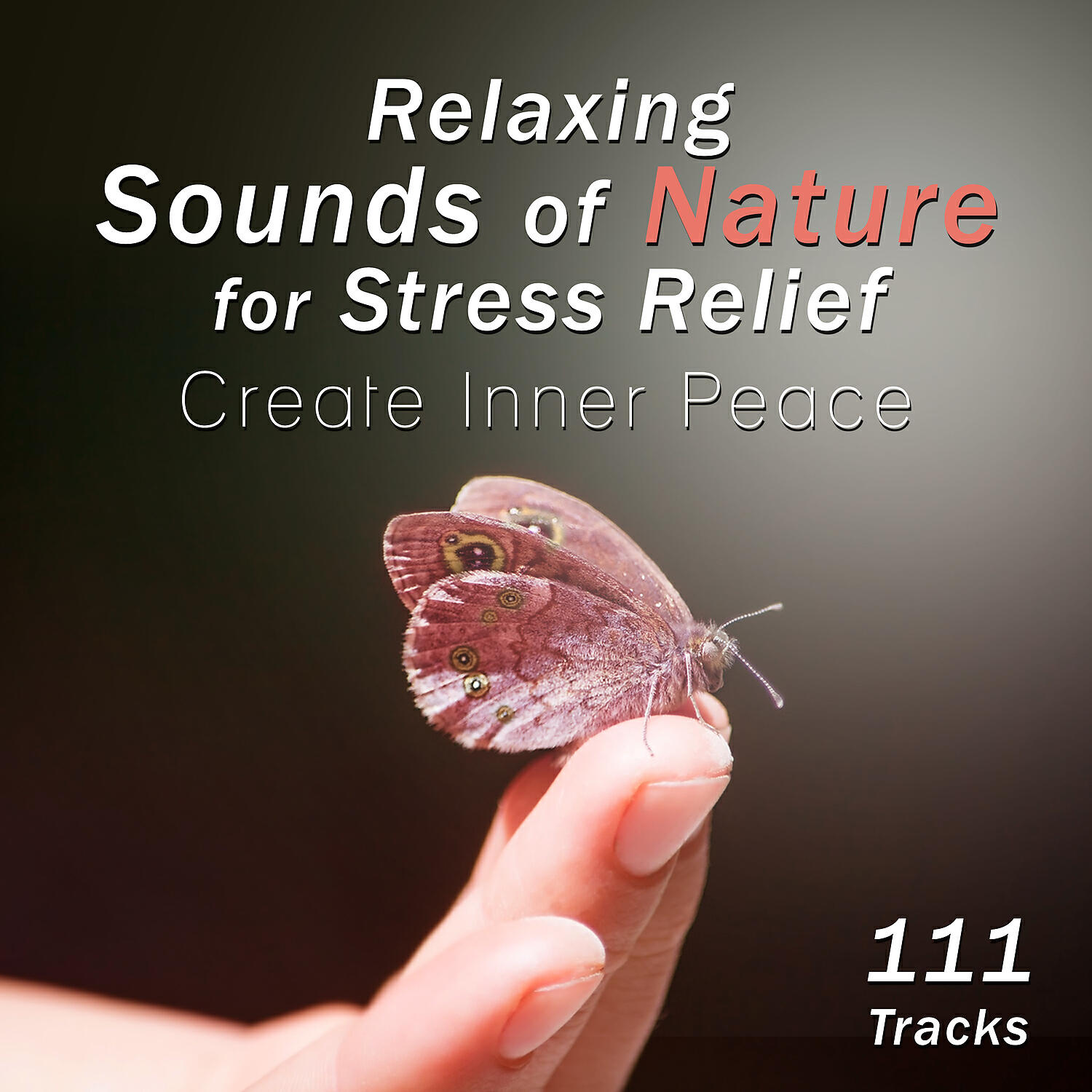 Stress Relief Calm Oasis - Oasis Meditation of Peace