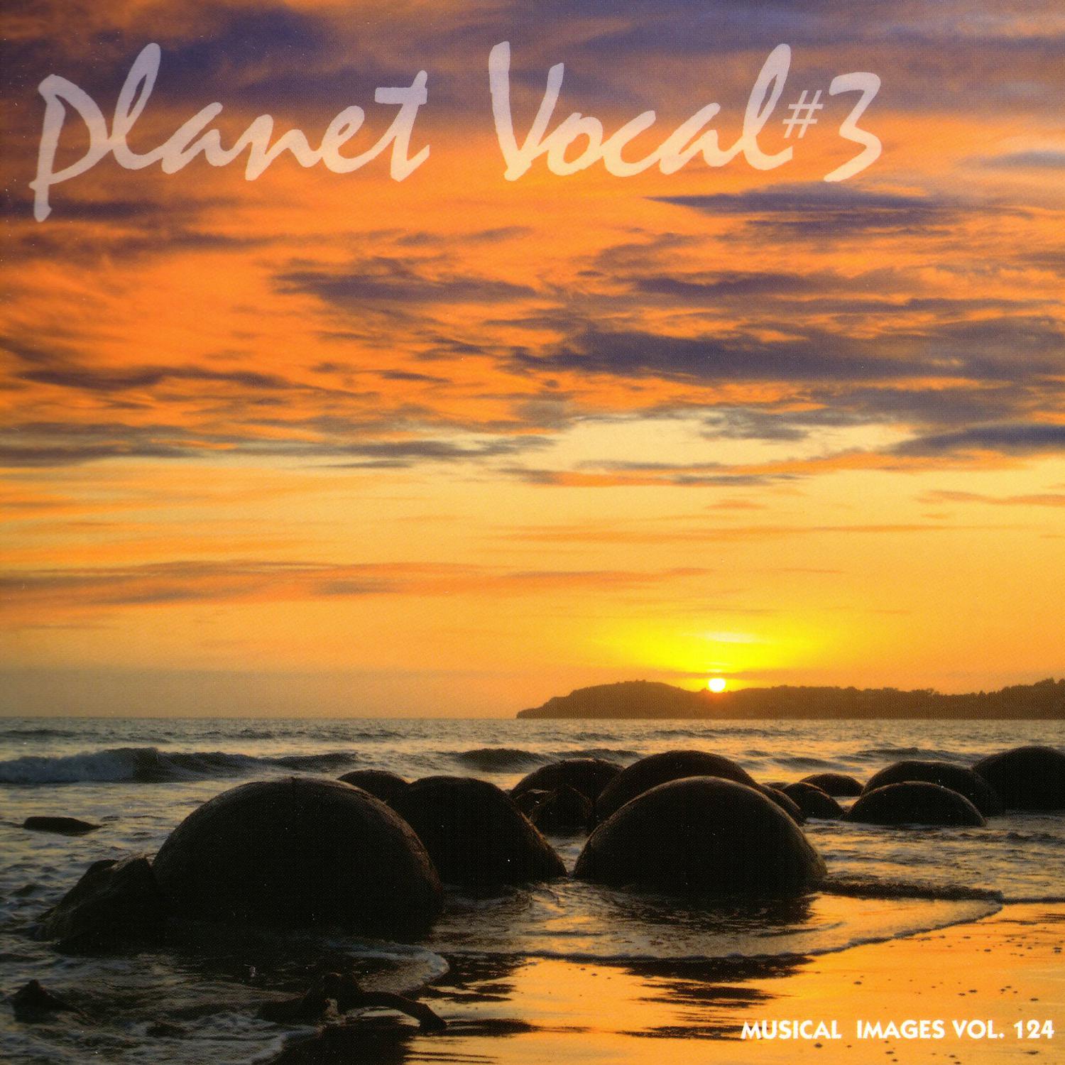 Постер альбома Planet Vocal 3