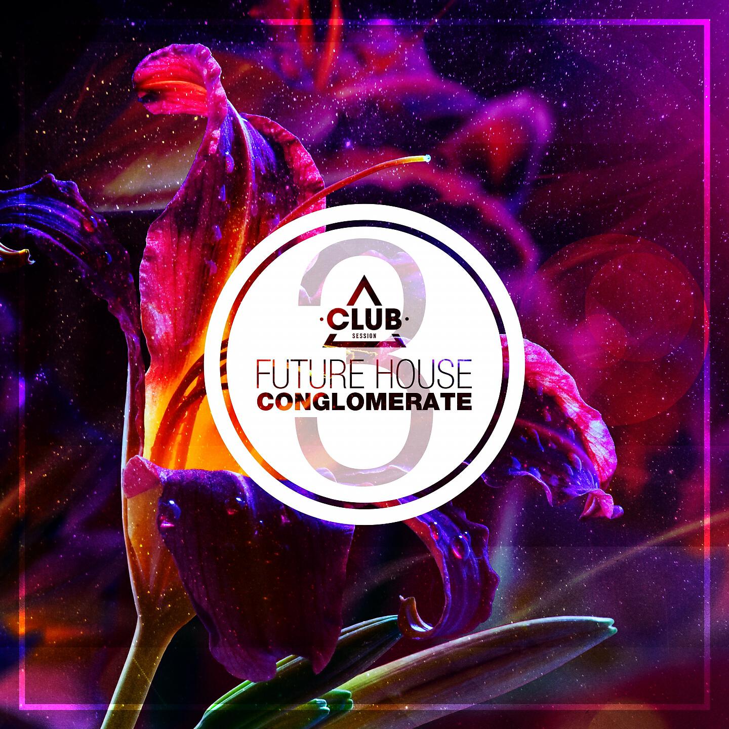 2Elements - Got Me Burning Up (Francesco Gomez Remix)