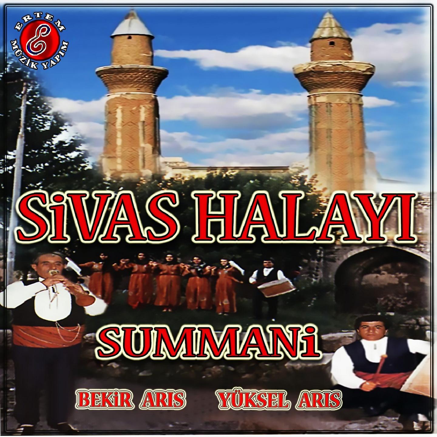 Постер альбома Sivas Halayı