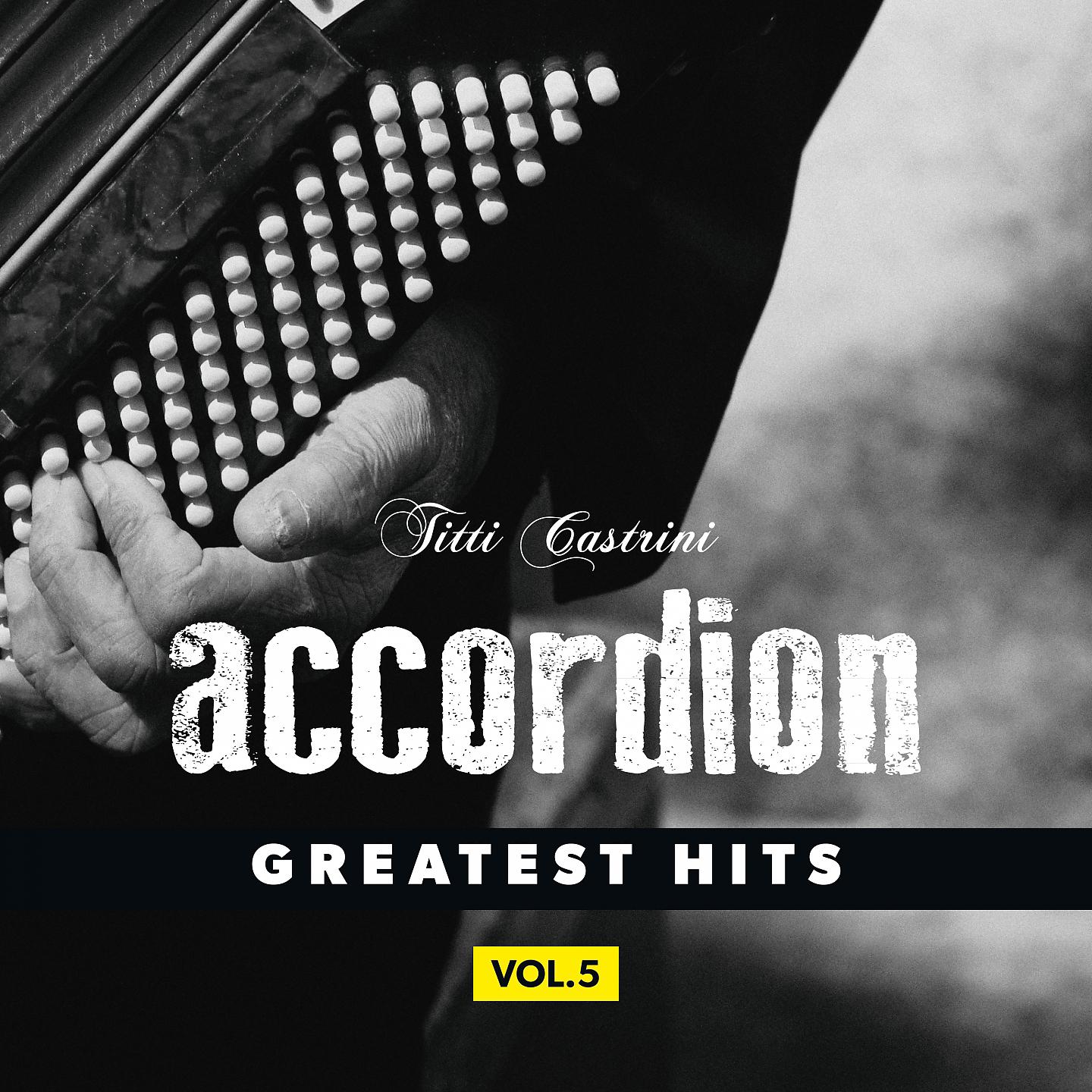 Постер альбома Accordion, Greatest Hits, Vol. 5