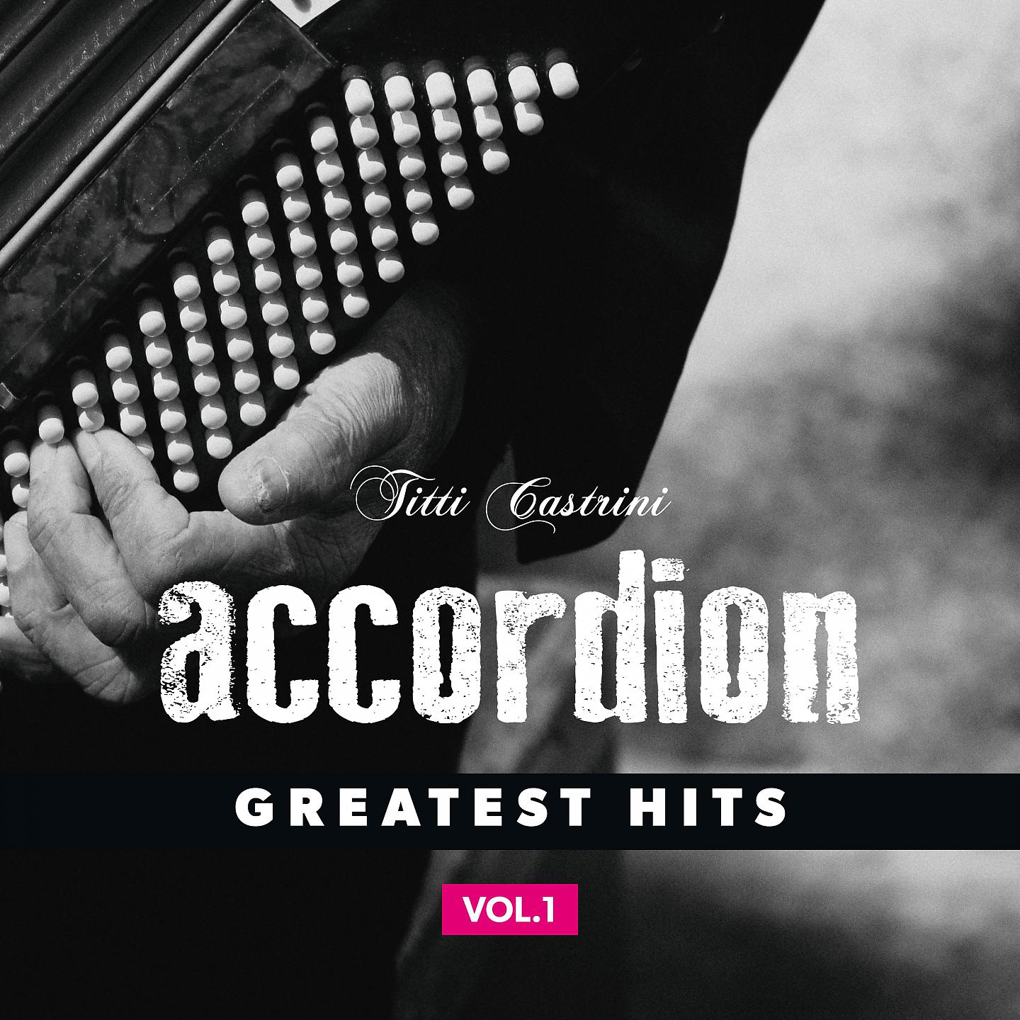 Постер альбома Accordion, Greatest Hits, Vol. 1