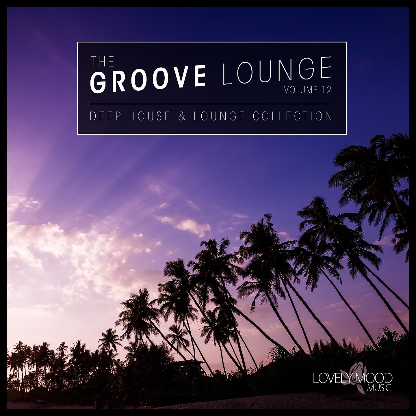Постер альбома The Groove Lounge, Vol. 12