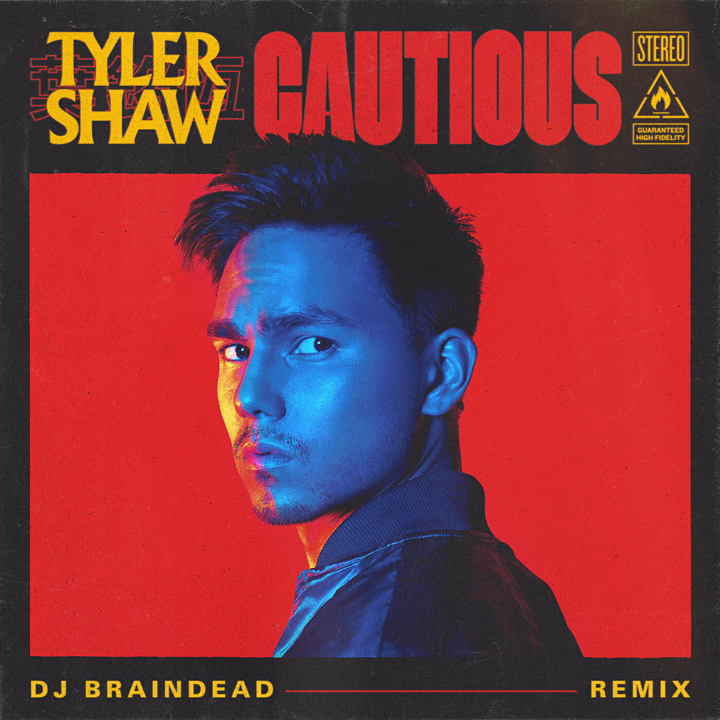Tyler Shaw - Cautious (Dj BrainDeaD Remix)
