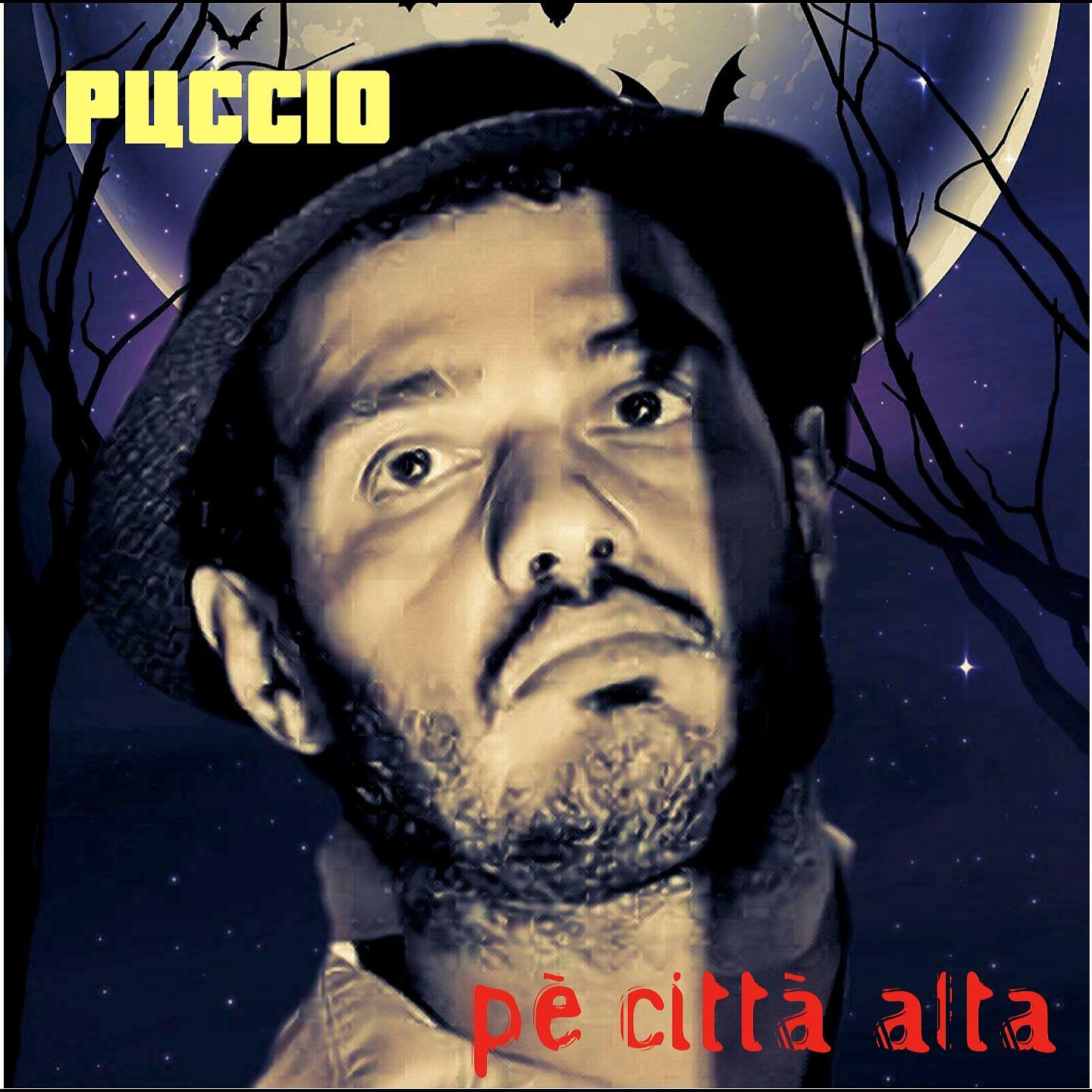 Постер альбома Pè città alta