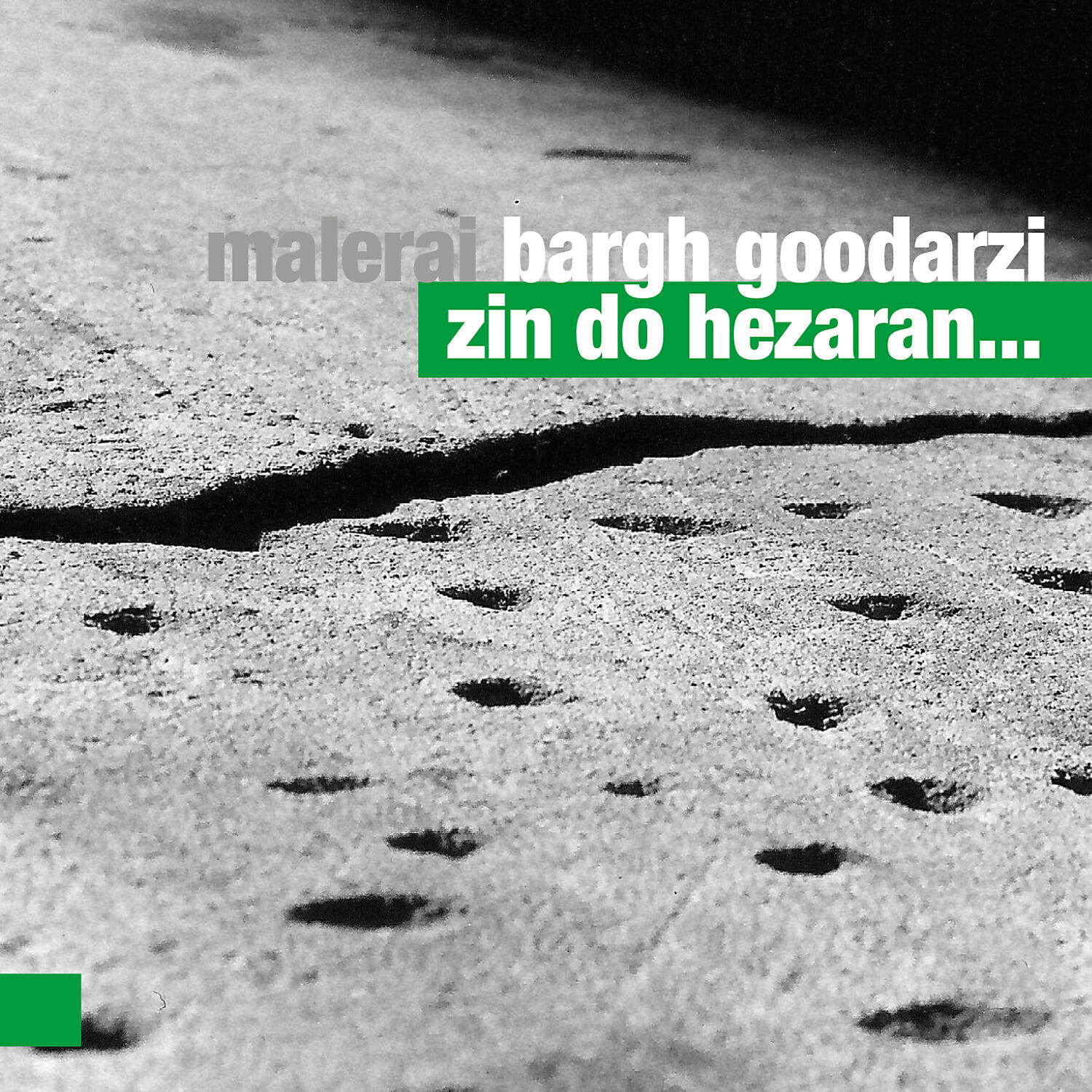 Malerai Bargh Goodarzi - Gar Dzan-e aszeq Dam Zanad