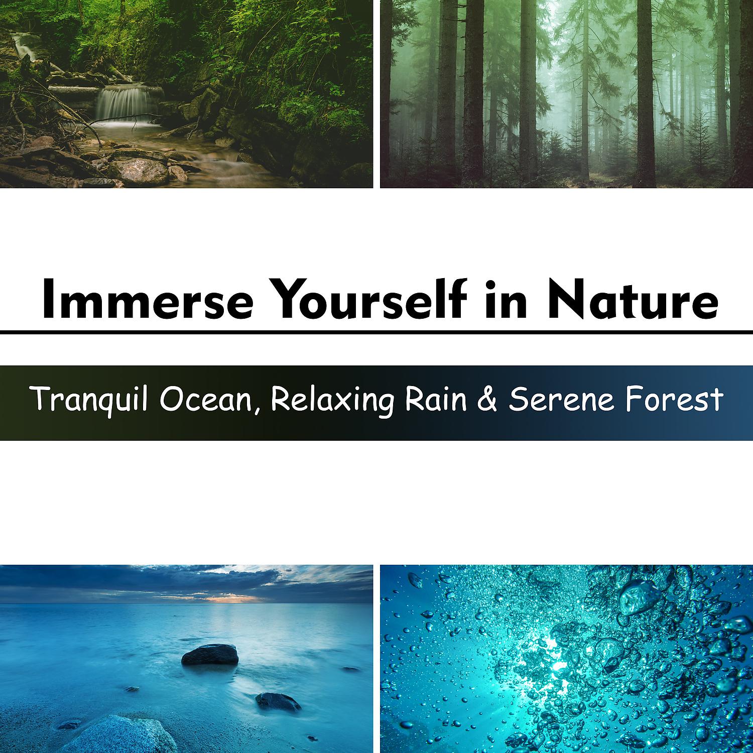 Постер альбома Immerse Yourself in Nature: Tranquil Ocean, Relaxing Rain & Serene Forest