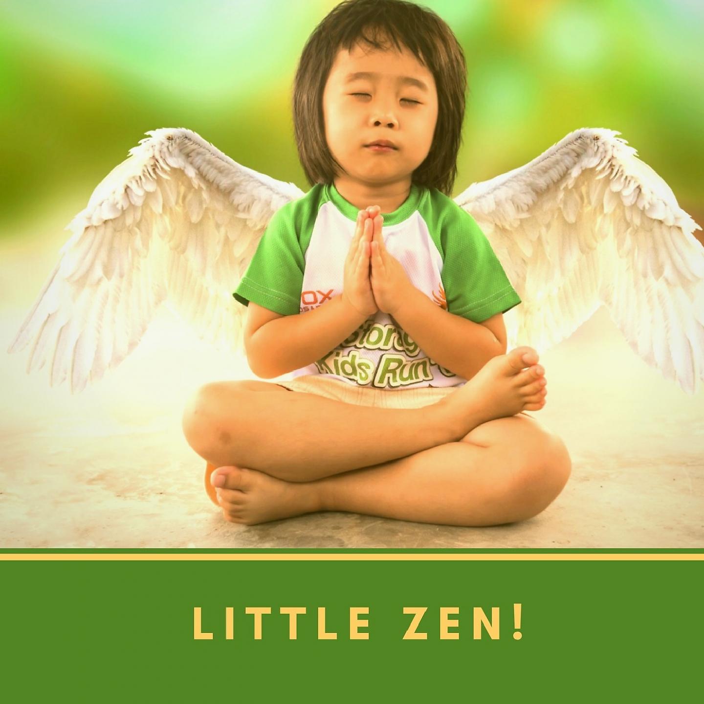 Постер альбома Little Zen