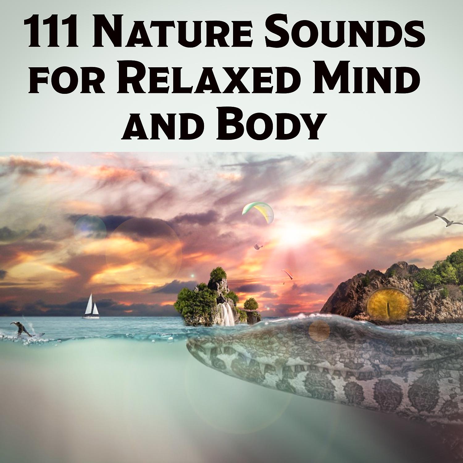 Постер альбома 111 Nature Sounds for Relaxed Mind and Body: New Age Healing Natural Ambience, Mindfulness Meditation, Welness Centre Music, Ultimate Brain Stimulation, Soothing Japanese Zen Garden Sounds