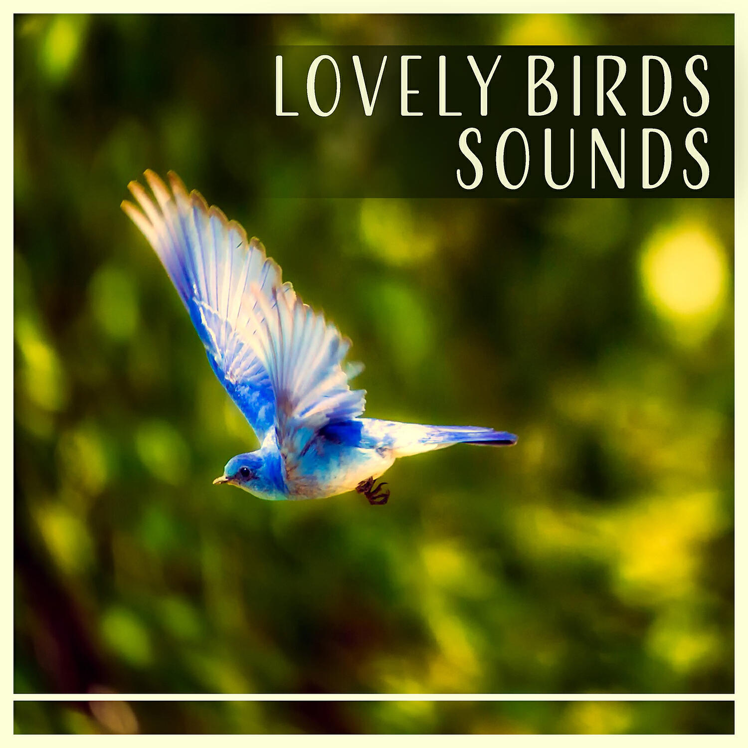 Calm Singing Birds Zone - Wildlife