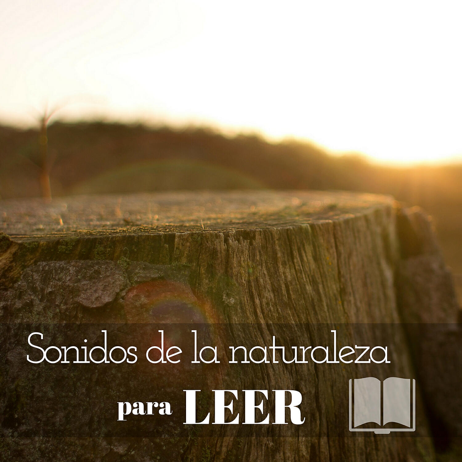 Ruido Blanco para Leer - Aprendo musica