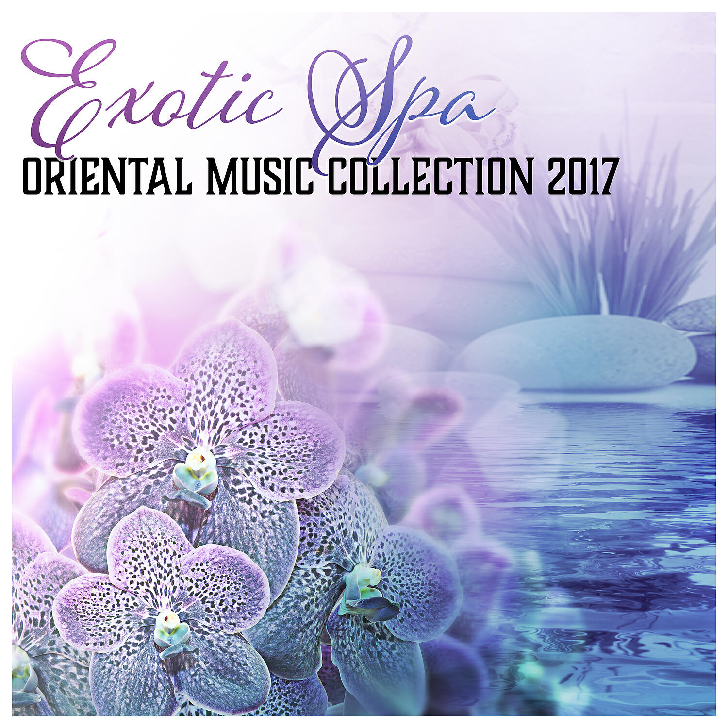 Mindfulness Meditation Music Spa Maestro - Morning Freshness