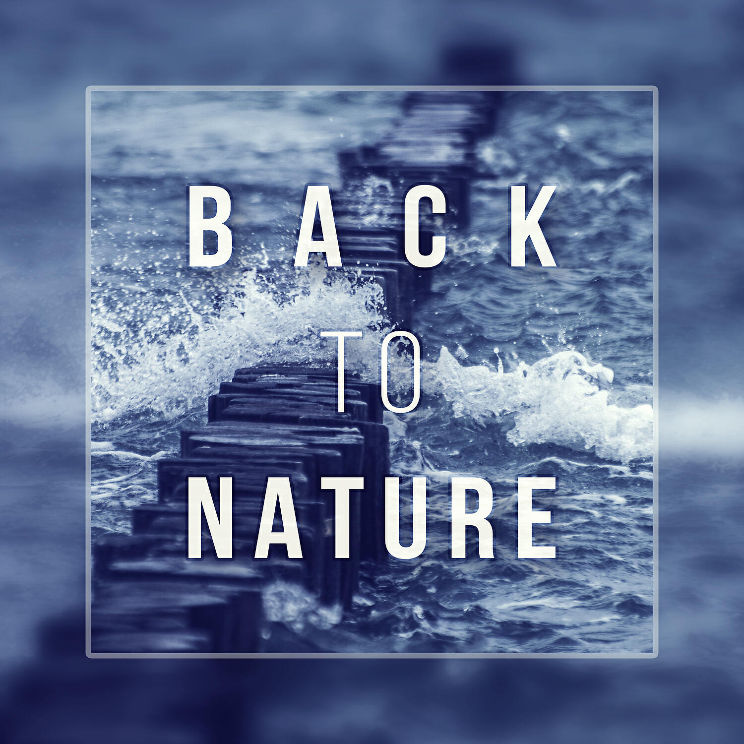 Relaxing Nature Sounds Collection - Birds Sounds