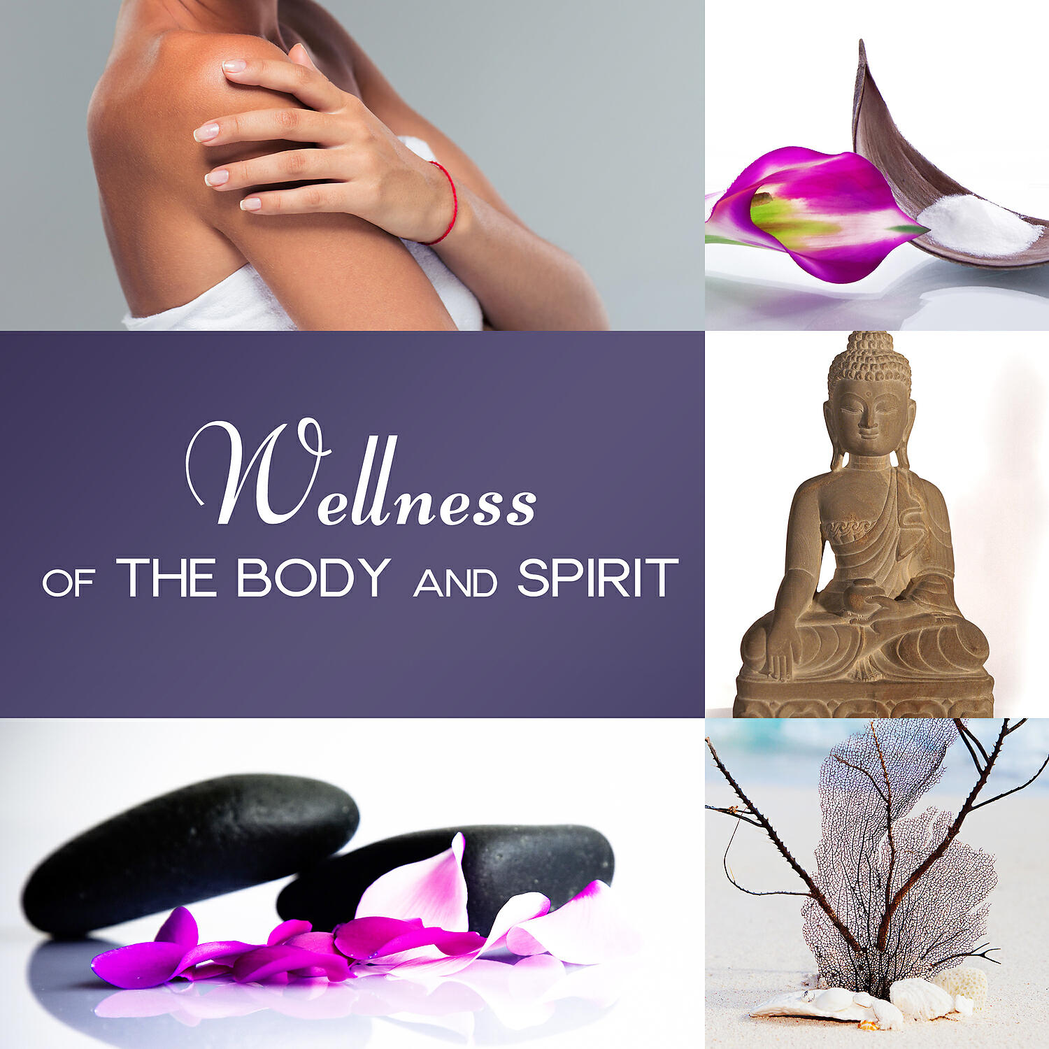 Wellness Spa Music Oasis - Wellness of the Body and Spirit