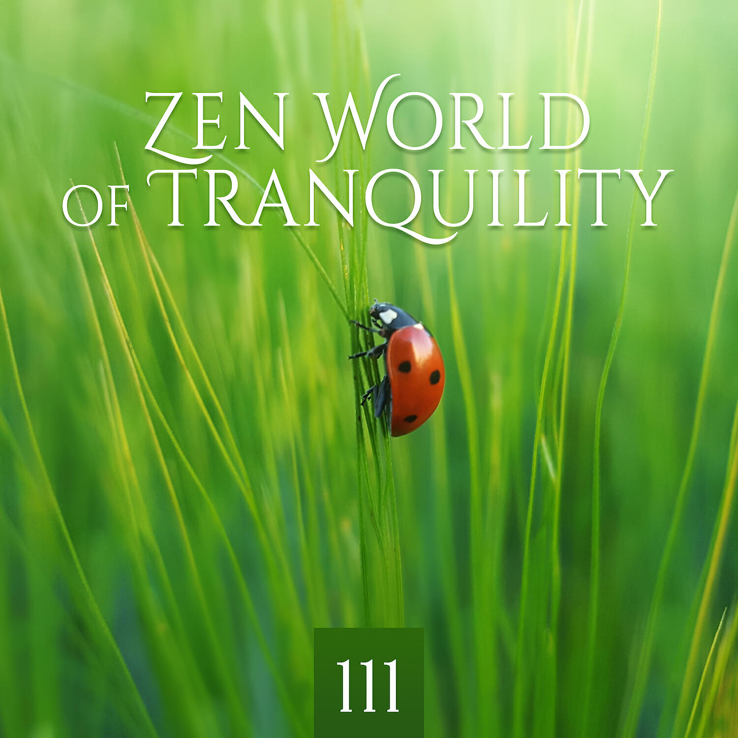 Garden of Zen Music - Spiritual Healing Music