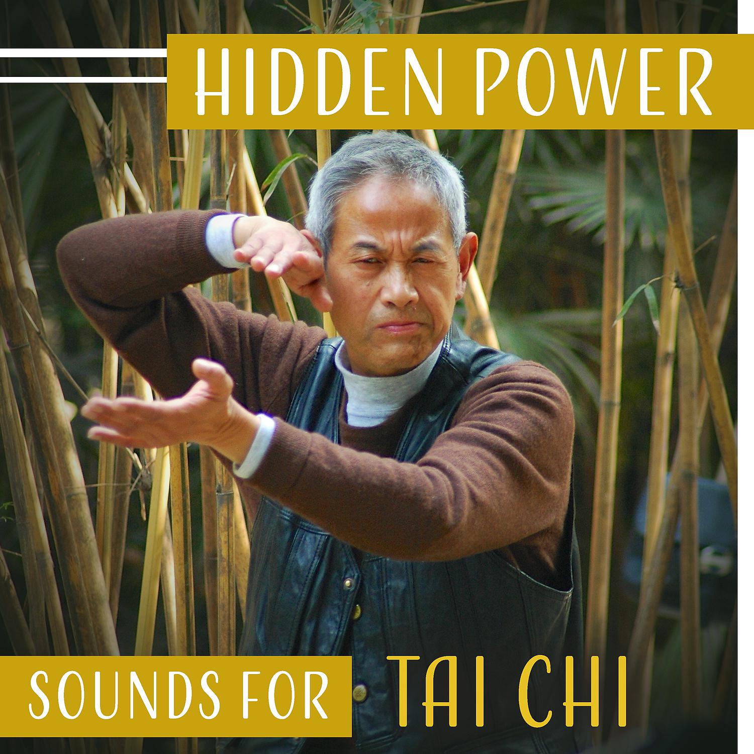 Постер альбома Hidden Power – Sounds for Tai Chi: Mindfulness Exercises, Martial Art Practice, Personal Health, Inner Peace, Will & Strength