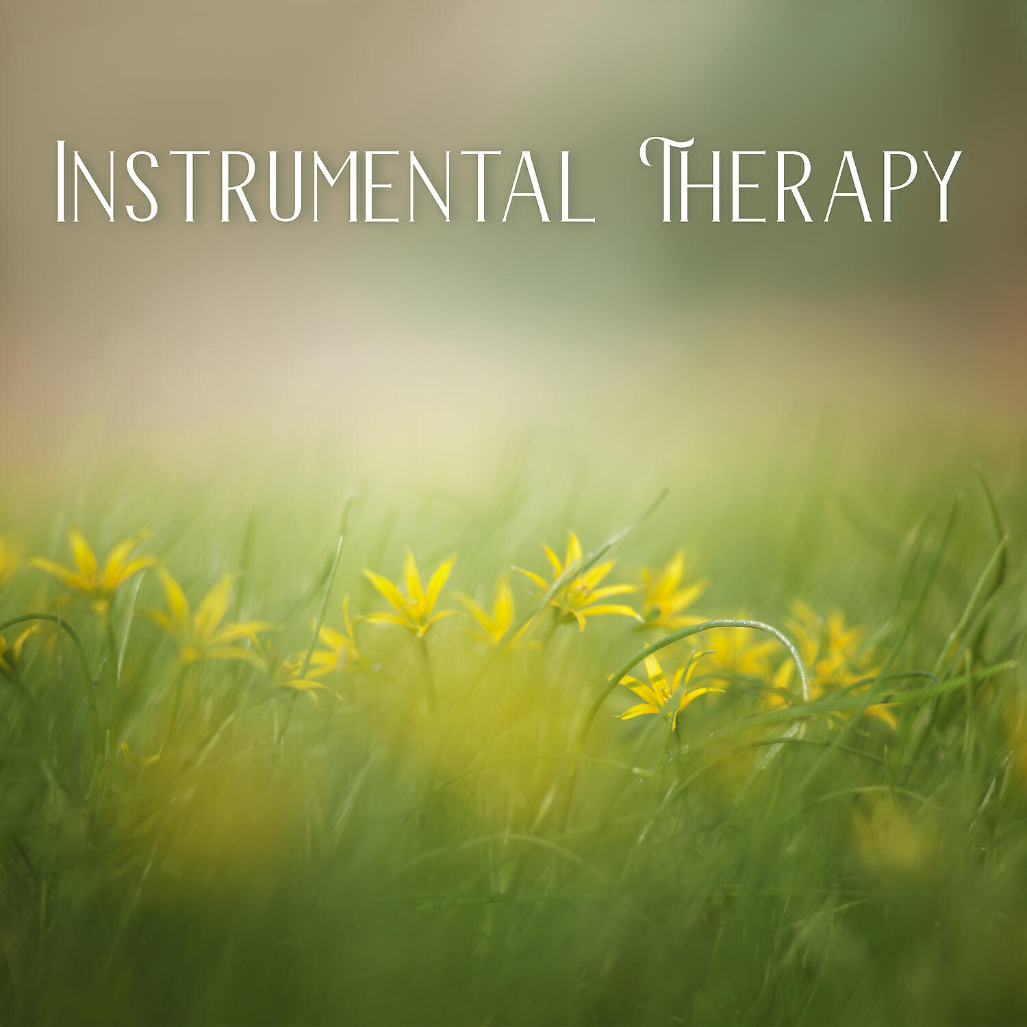 Sound Therapy Masters - Spiritual Inner Journey