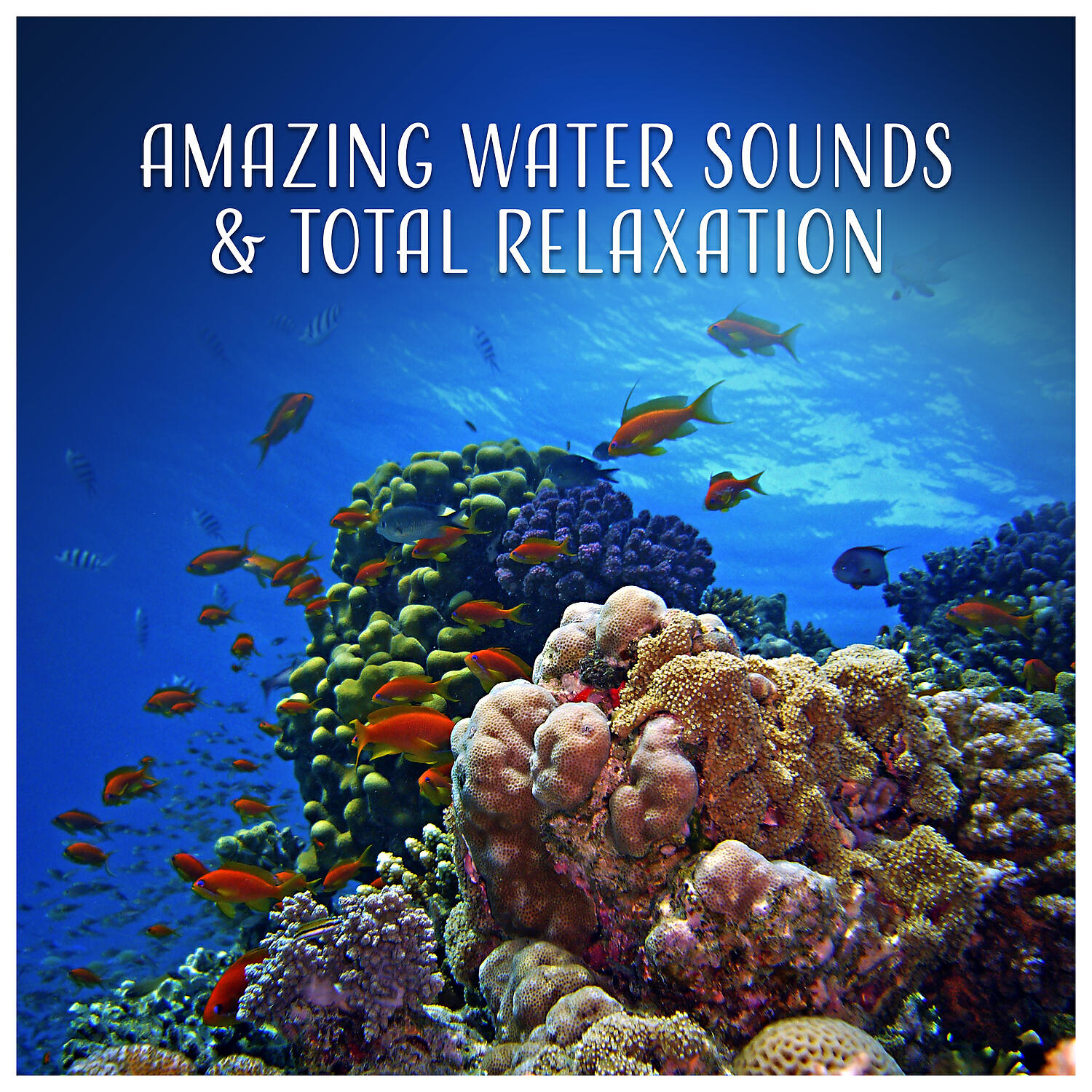 Water Sounds Music Zone - Insomnia Cure, Delicate Waves