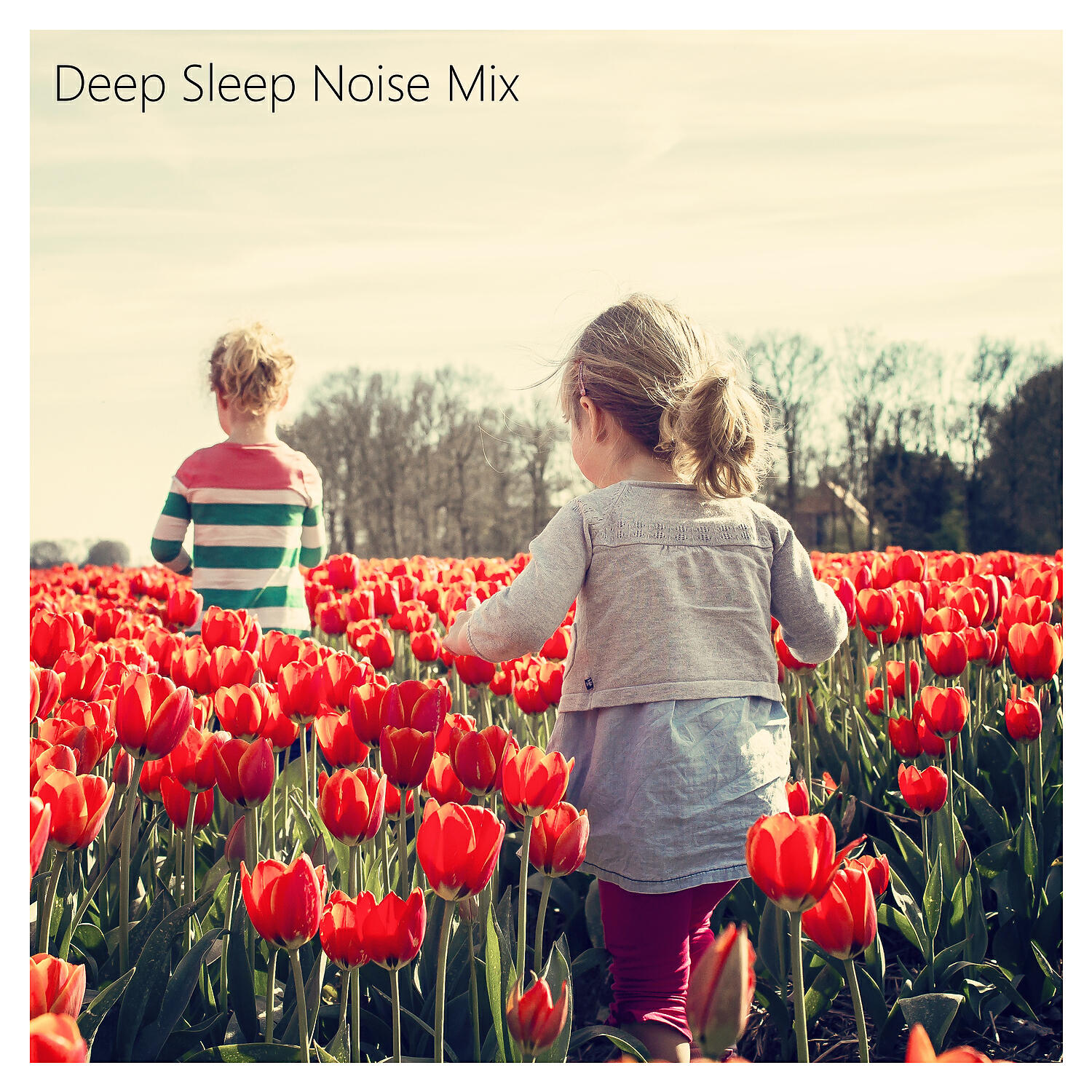 Sleep Noise Relax - Pure Relax Brown Noise (Soothing Sleep Noise) feat. Therapy Noise for Sleeping