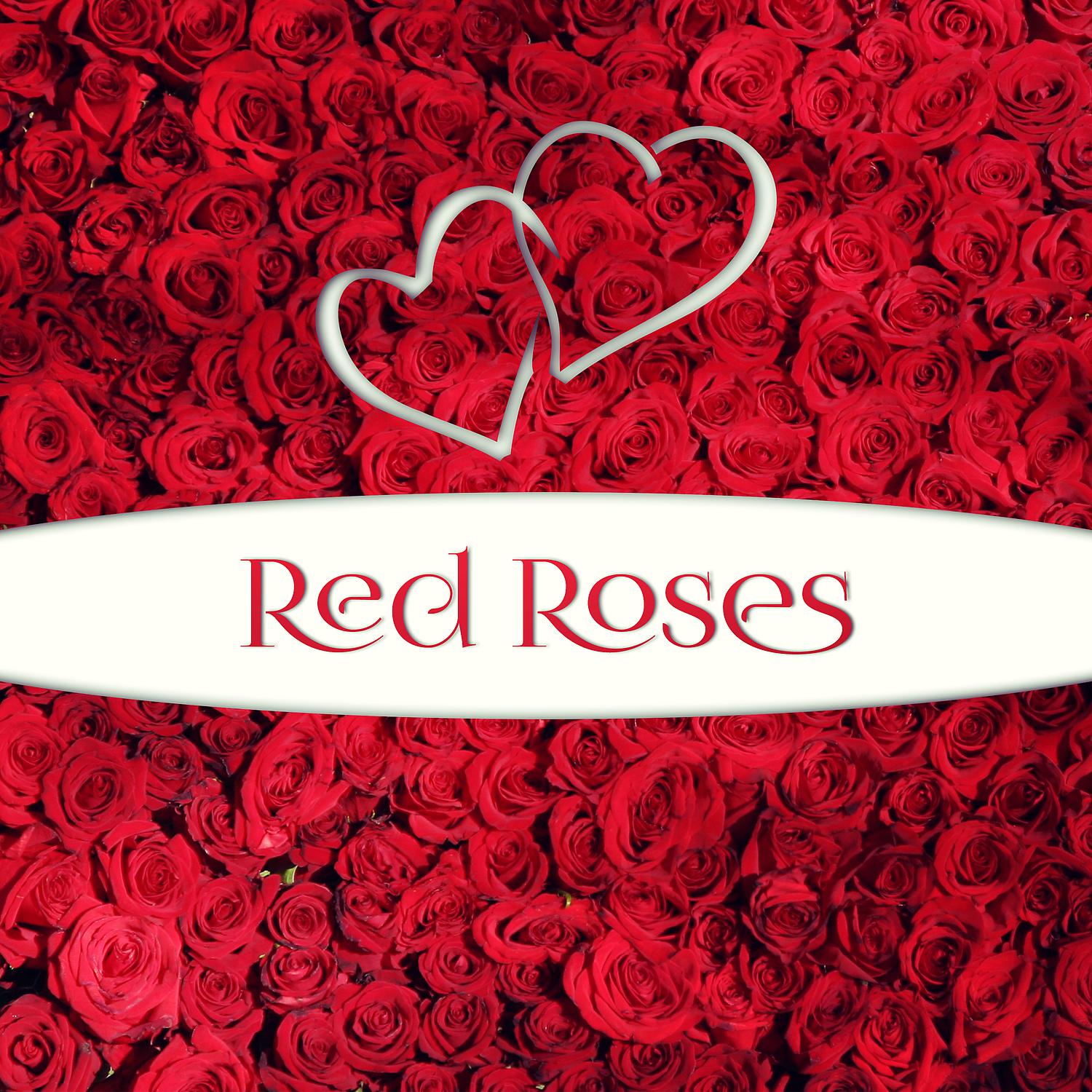 Постер альбома Red Roses – Sweet Date, Passion, Moonlight, Stars, Candlelight