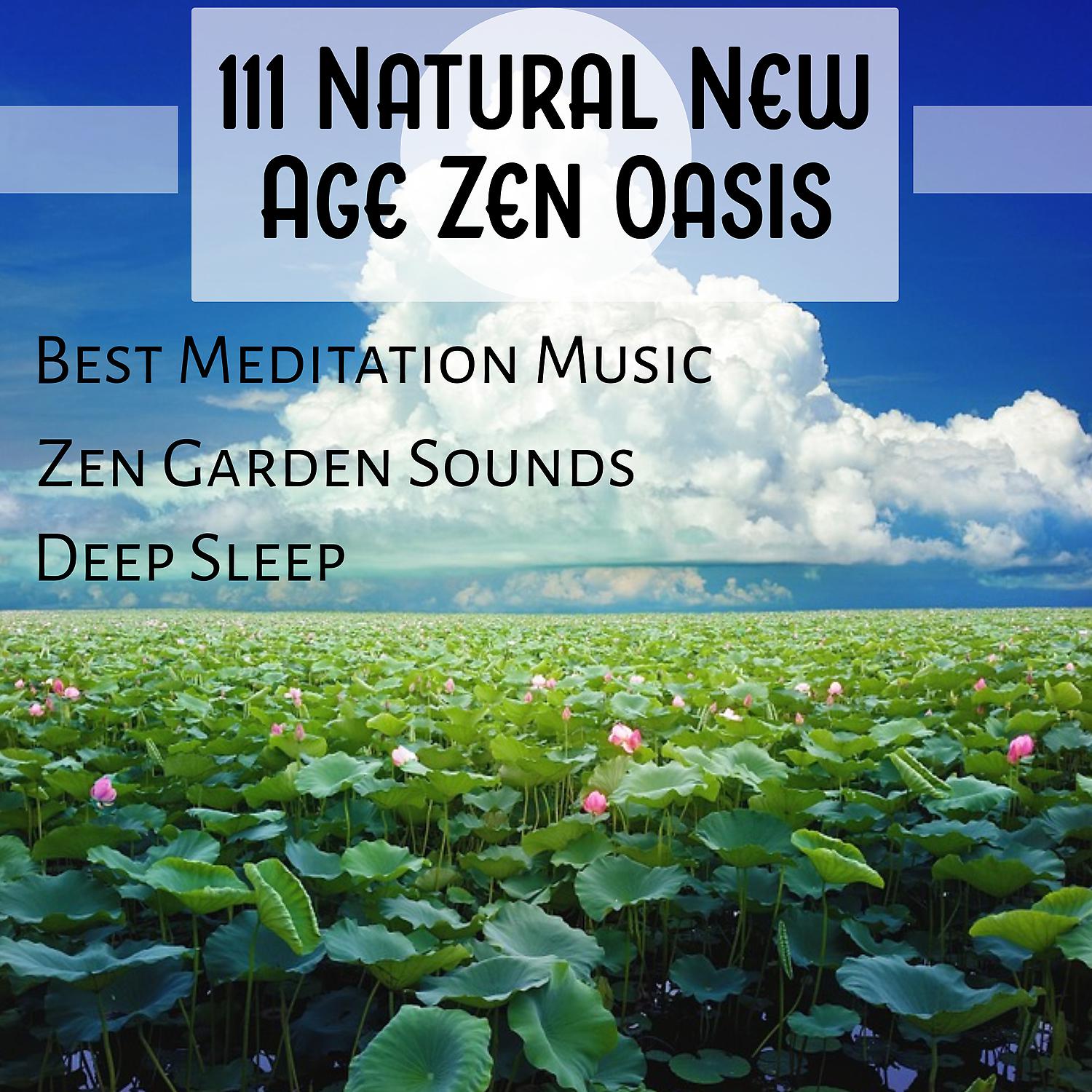 Постер альбома 111 Natural New Age Zen Oasis: Best Meditation Music, Zen Garden Sounds, Deep Sleep, Healing Massage, Spa and Yoga Music, Pure Relaxation, Balance and Stress Relief, Feel Incredible