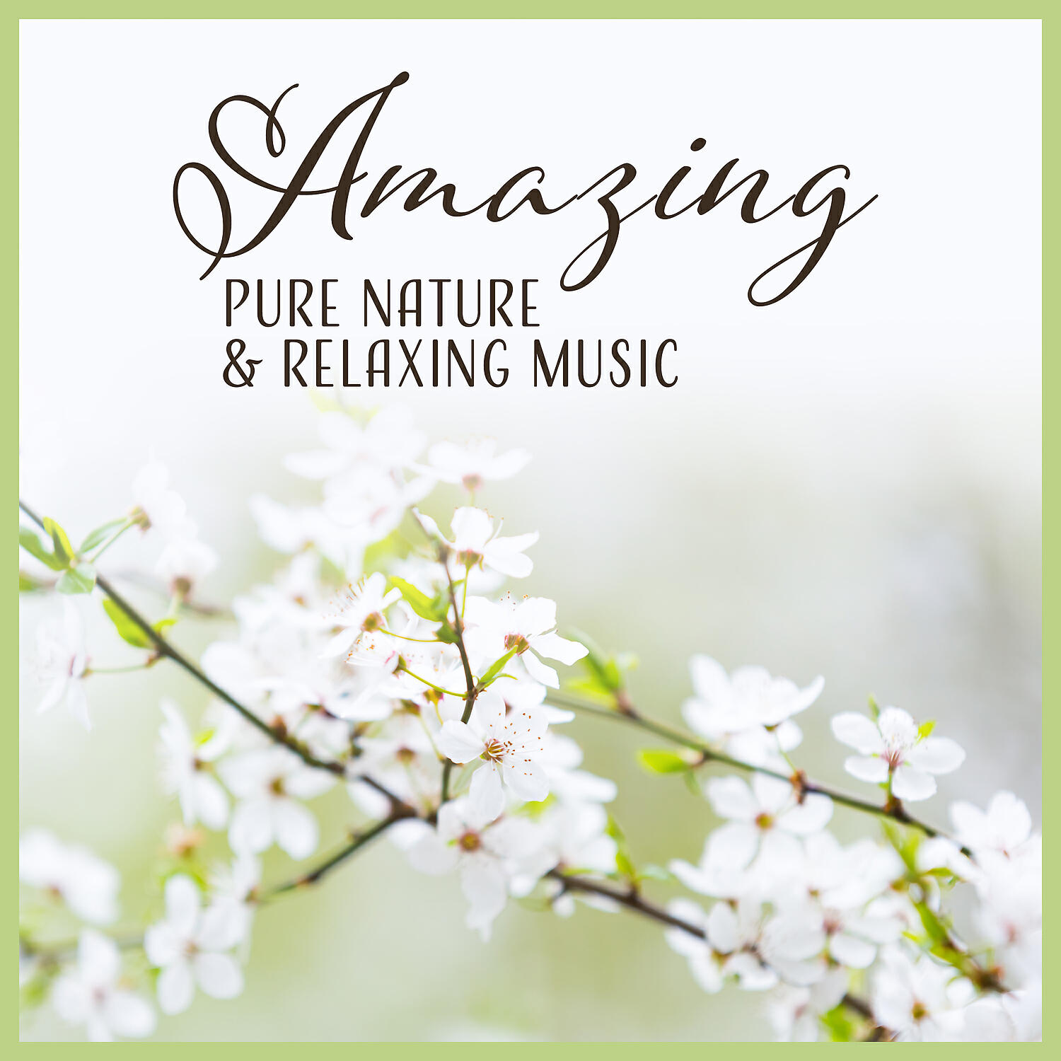 Lovely Nature Music Zone - Healing Song