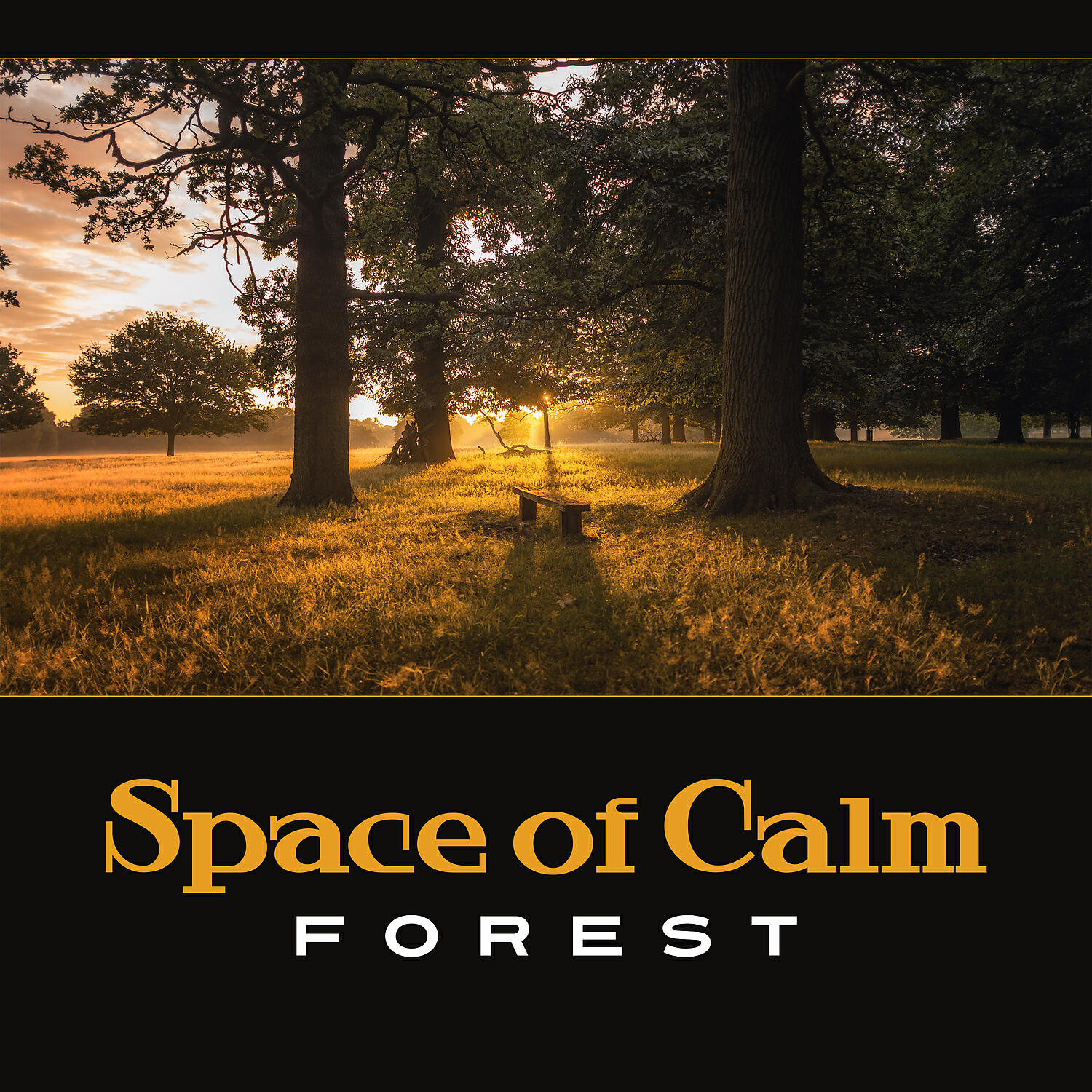 Nature Music Sanctuary - Falling Drops of Water in Cave (Deep Purification of Mind)