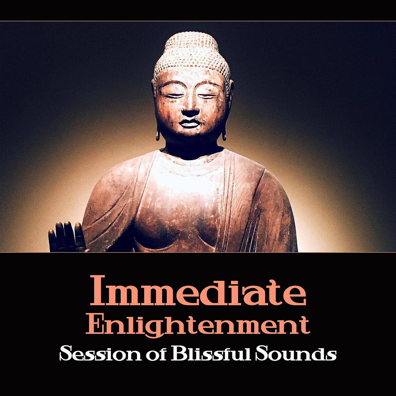 Постер альбома Immediate Enlightenment: Session of Blissful Sounds