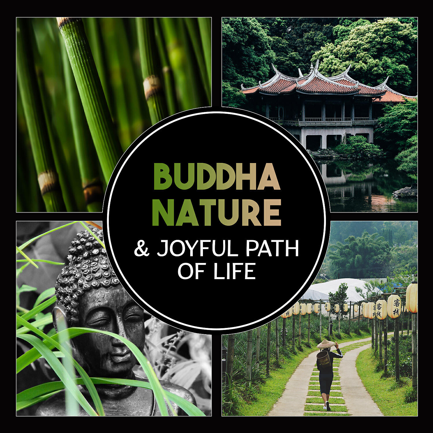 Guided Meditation Music Zone - Buddhism and Meditation