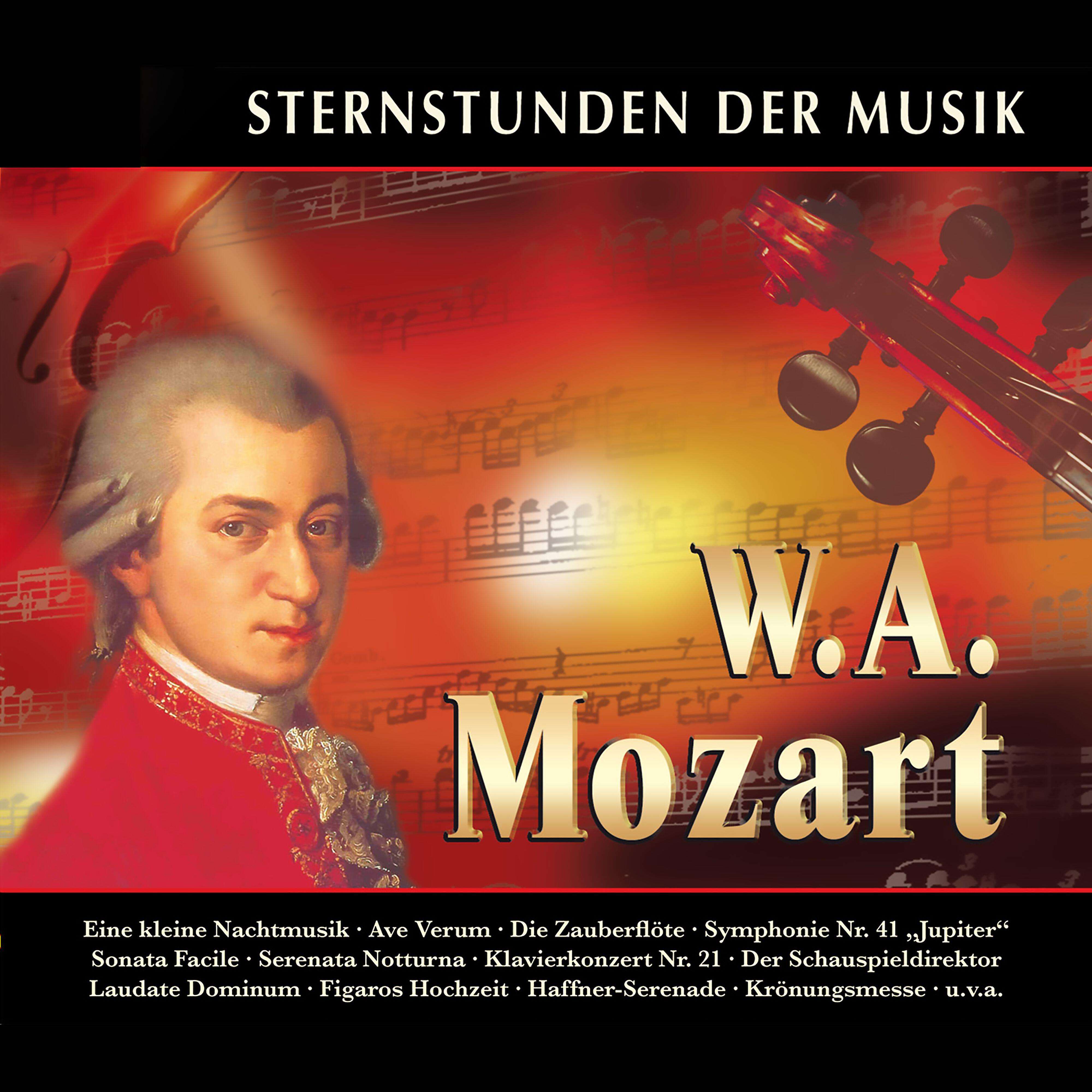 Jörg-Peter Weigle - Horn Concerto No. 3 in E-Flat Major, K. 447: III. Allegro