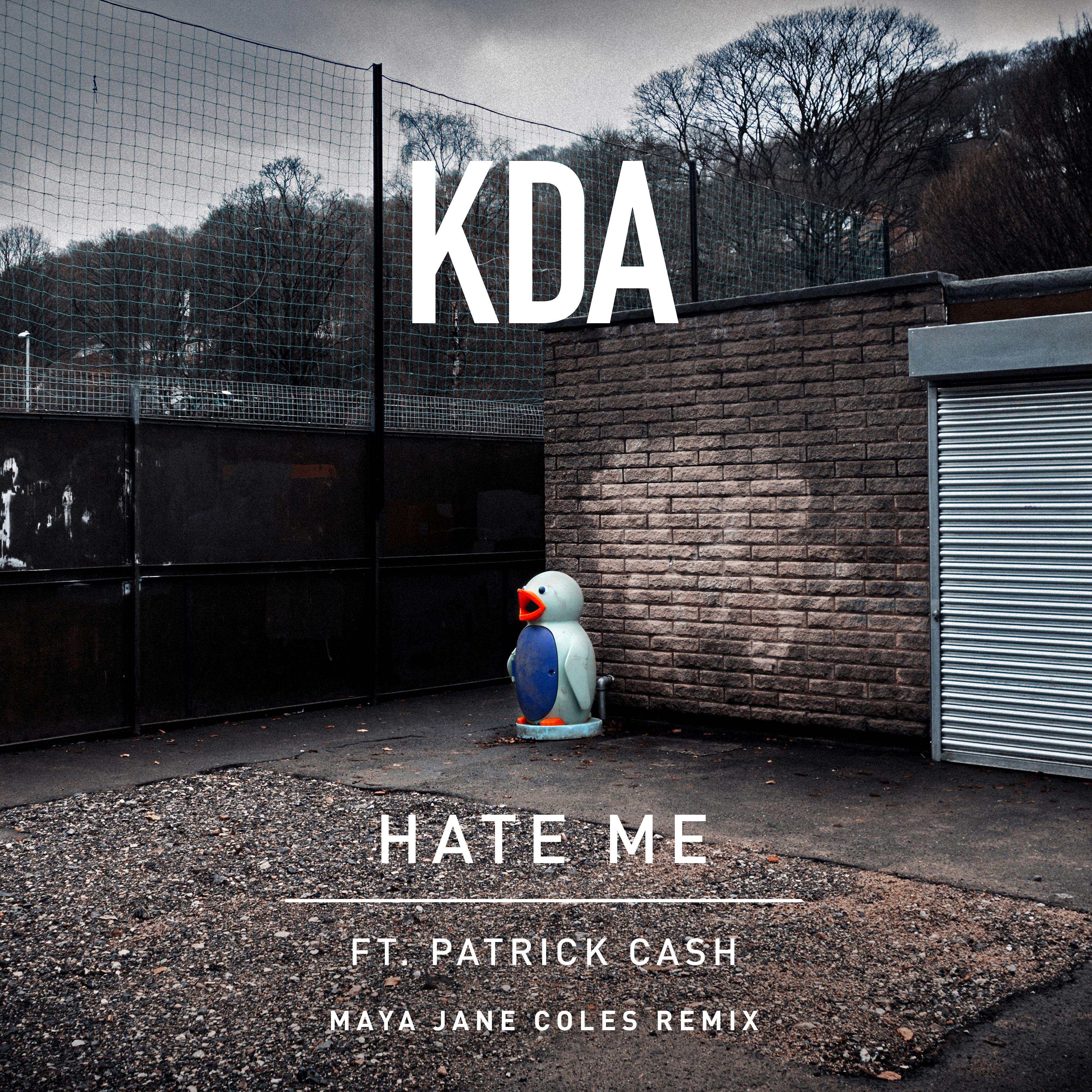 Постер альбома Hate Me (feat. Patrick Cash) [Maya Jane Coles Remix]