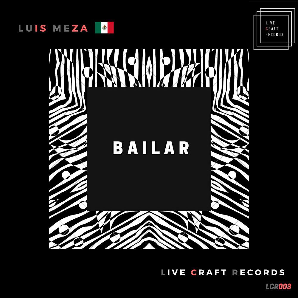 Постер альбома Bailar (Original Mix)