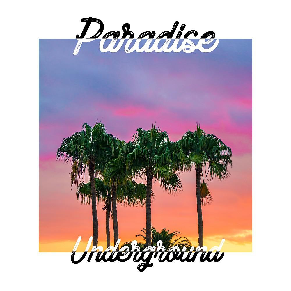 Постер альбома Paradise Underground 2018.01