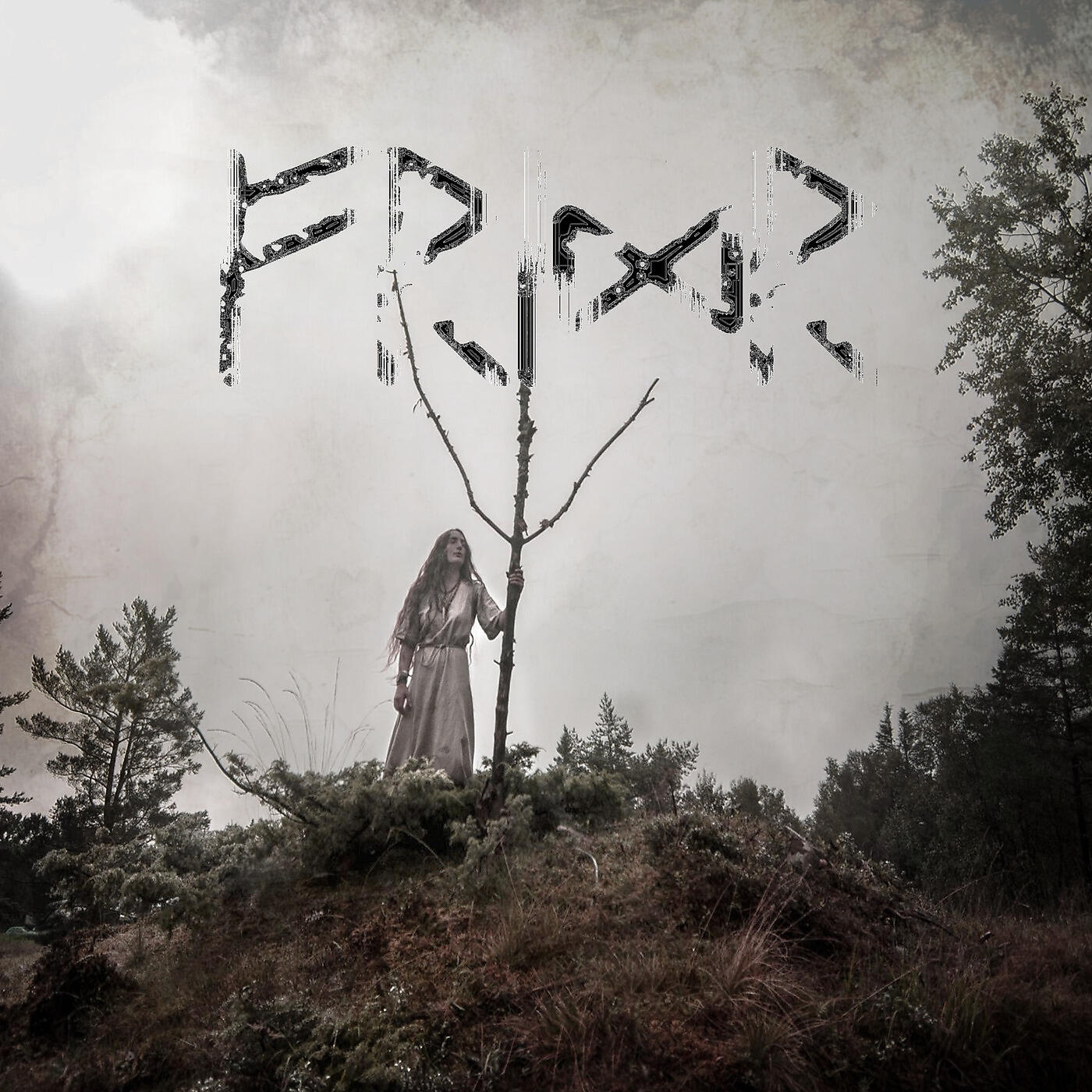Danheim - Yggdrasil