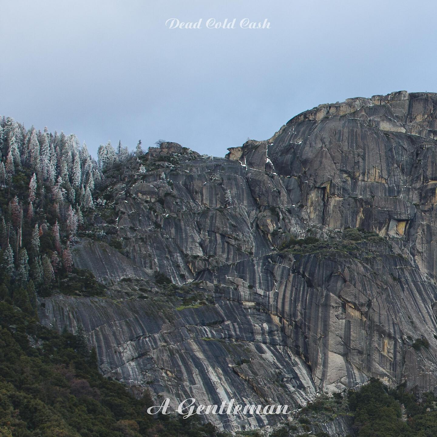 Dead Cold Cash - Tea Party
