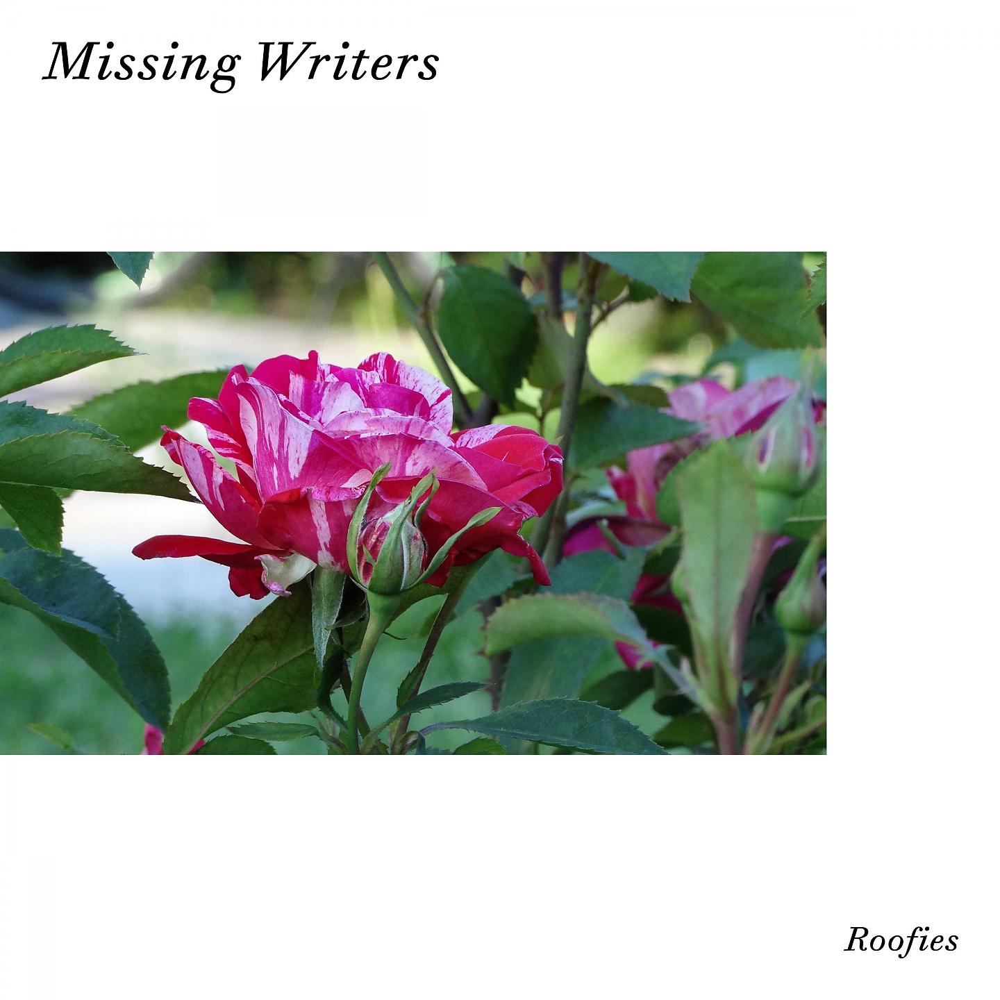 Постер альбома Missing Writers