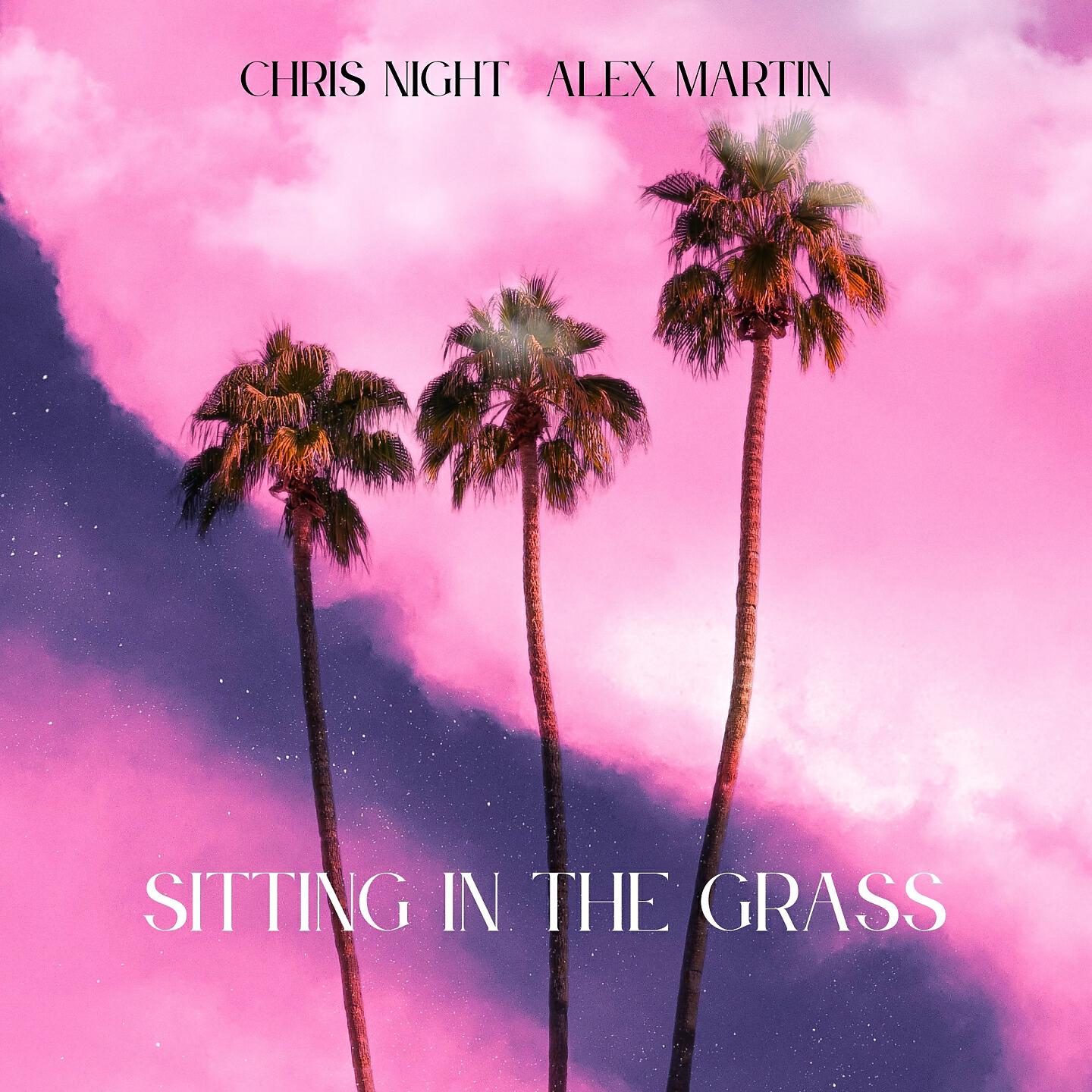 Chris Night - Sitting In The Grass (Instrumental)