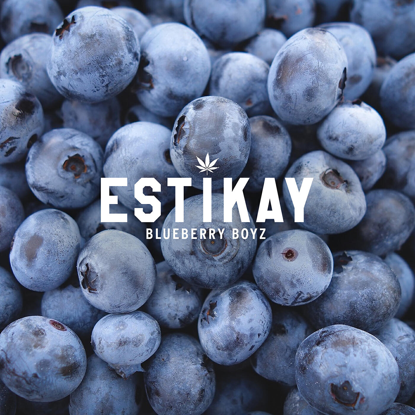 Estikay - Blueberry Boyz