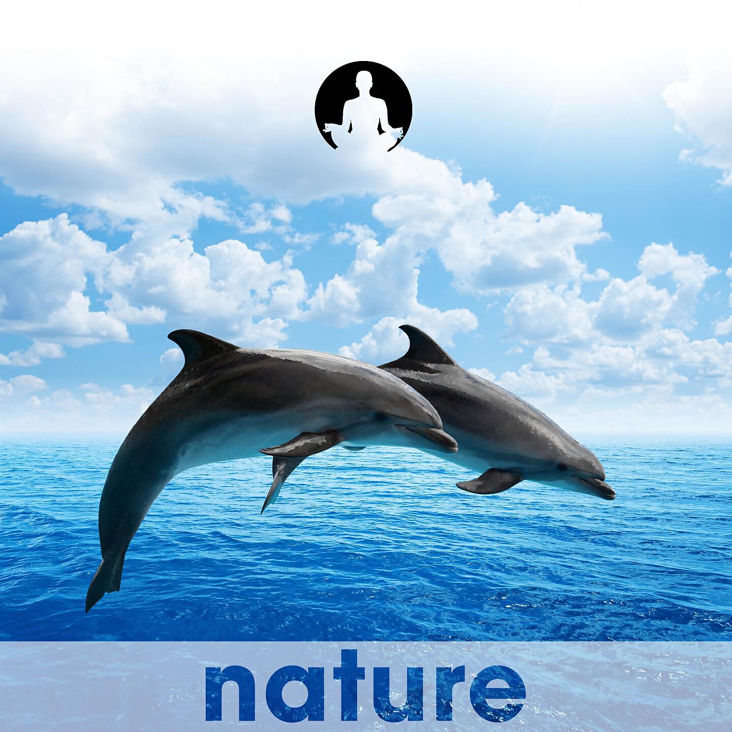 Nature's Harmony - Above the Waves