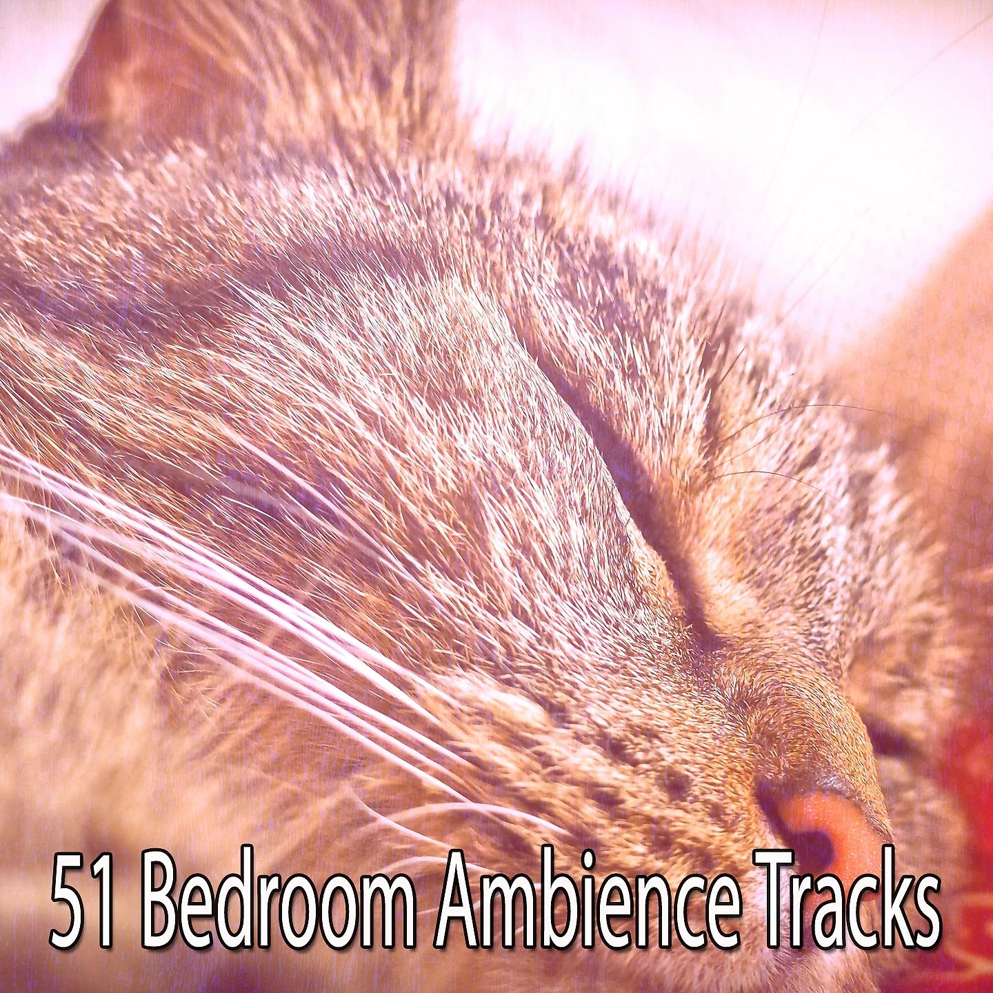 Постер альбома 51 Bedroom Ambience Tracks